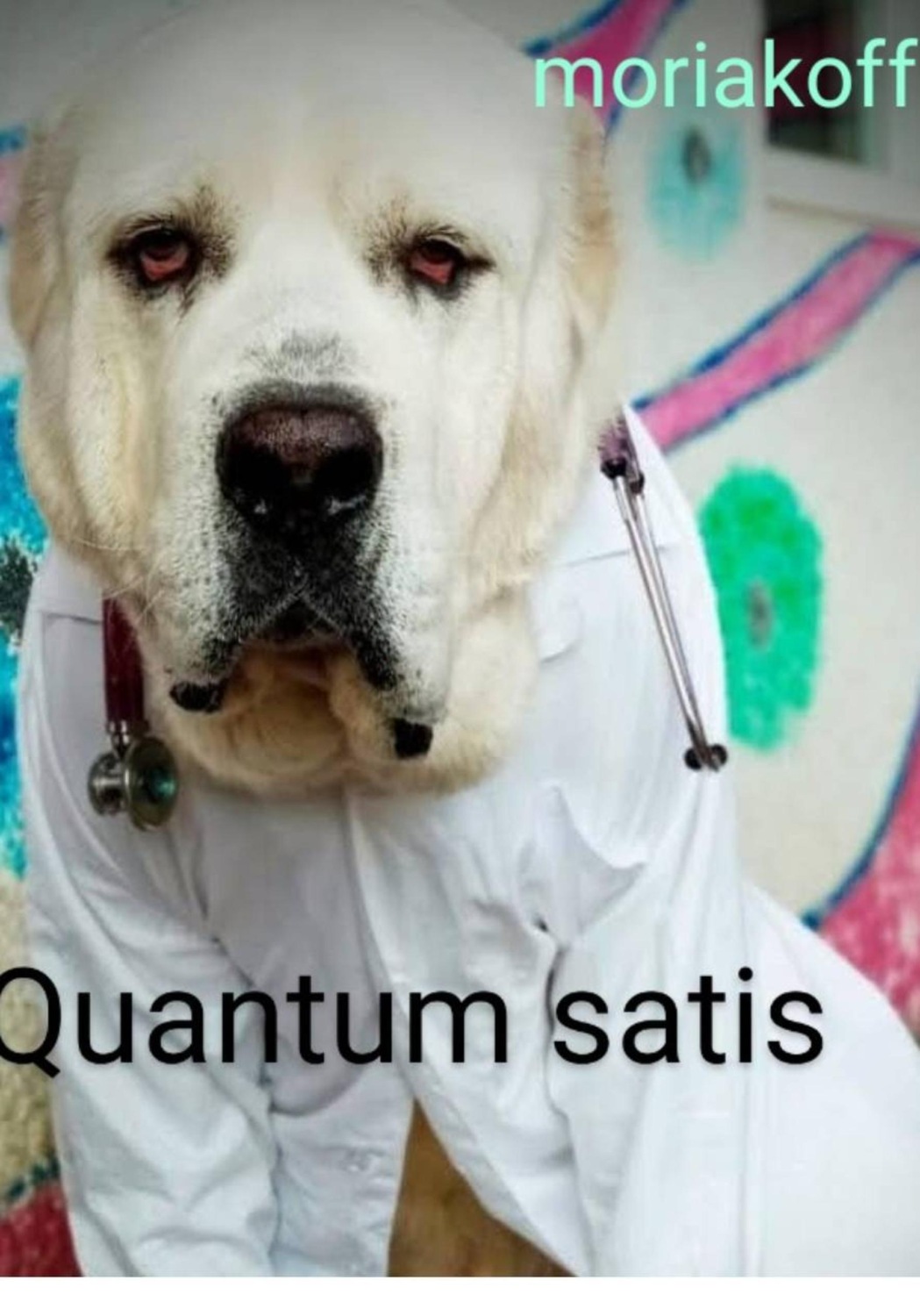 Обложка книги «Quantum satis»