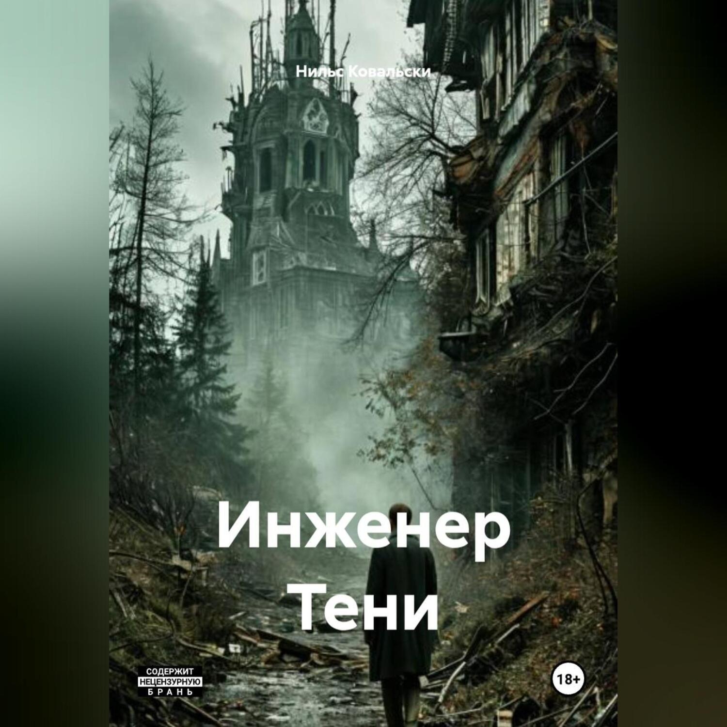 Обложка книги «Инженер Тени»