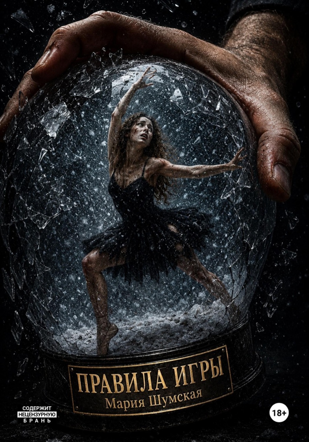 Обложка книги «Правила игры»