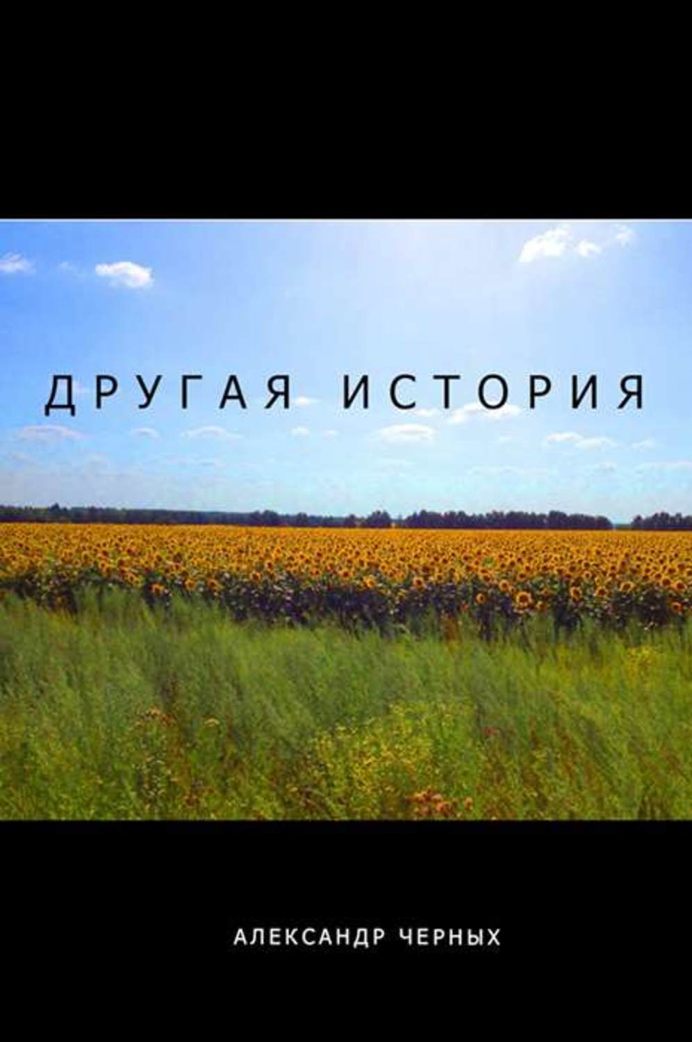 Обложка книги «Другая история»