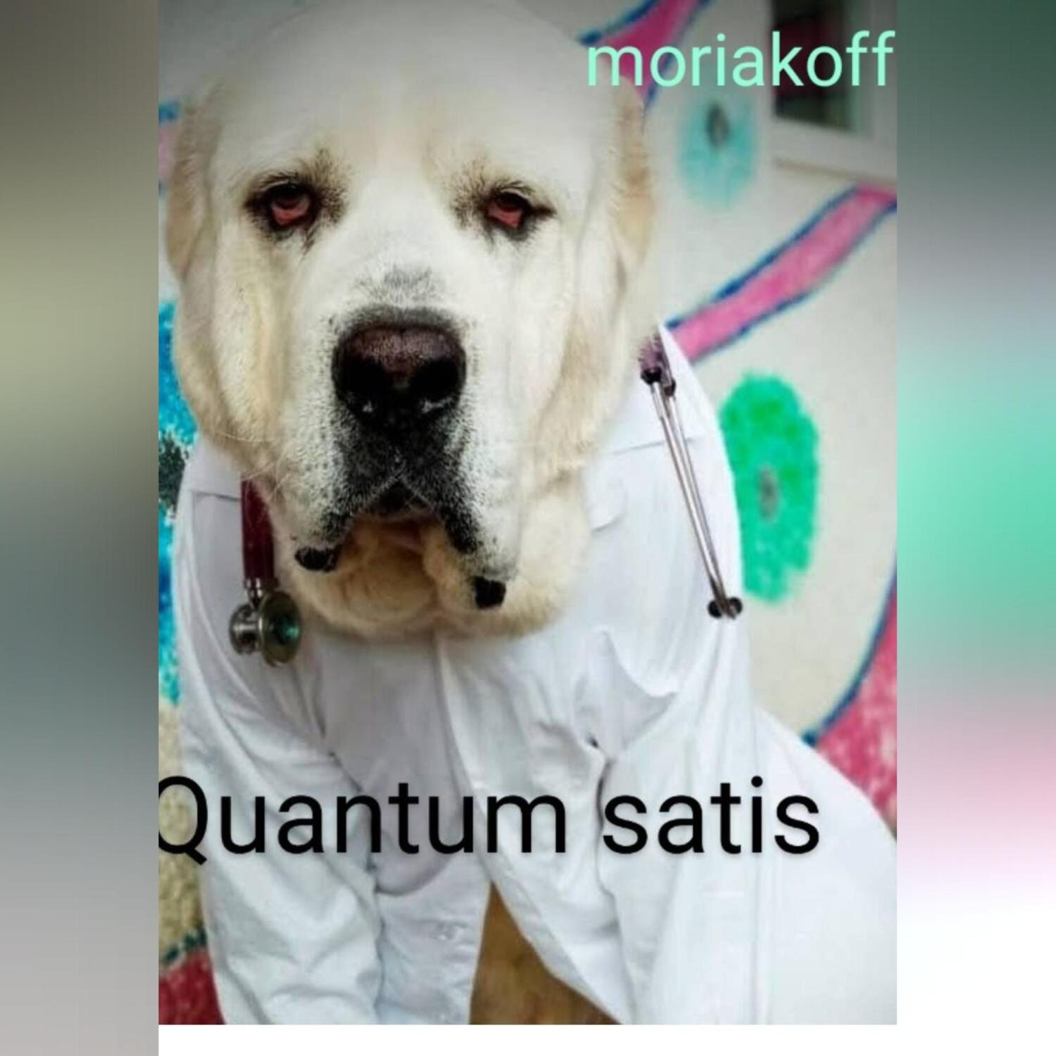 Обложка книги «Quantum satis»