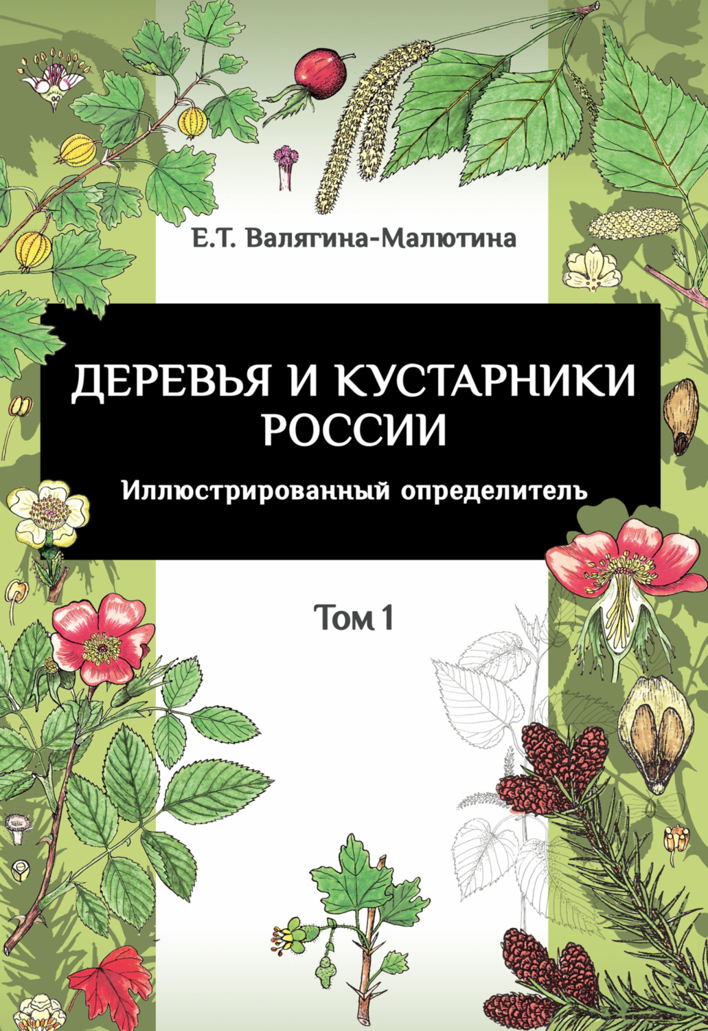Обложка книги «Деревья и кустарники России. Иллюстрированный определитель. Том 1»