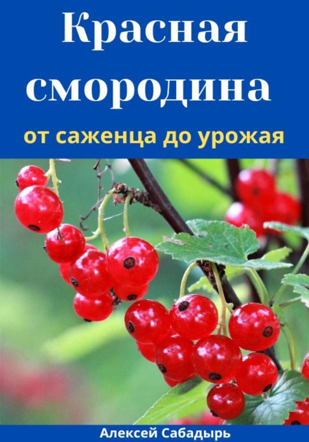 Обложка книги «Красная смородина от саженца до урожая»