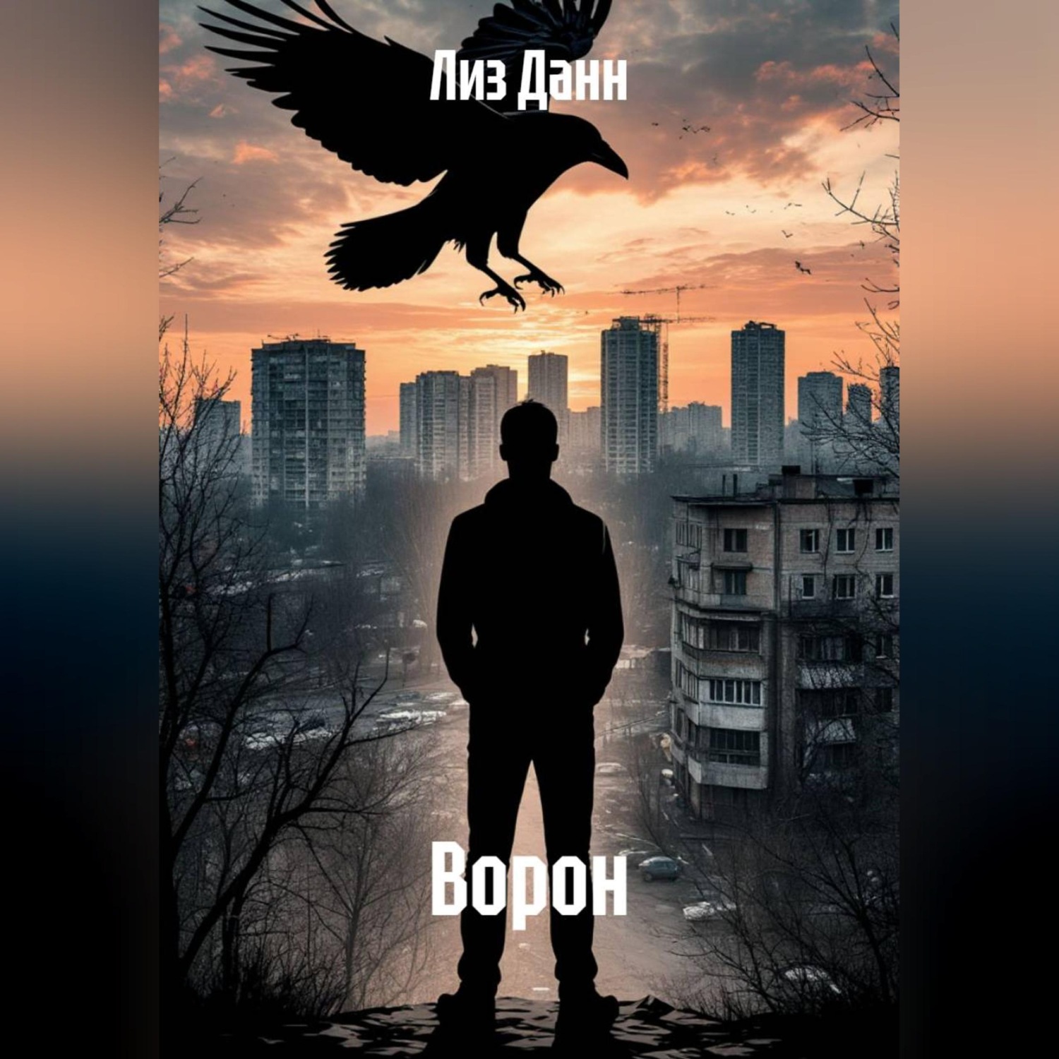 Обложка книги «Ворон»