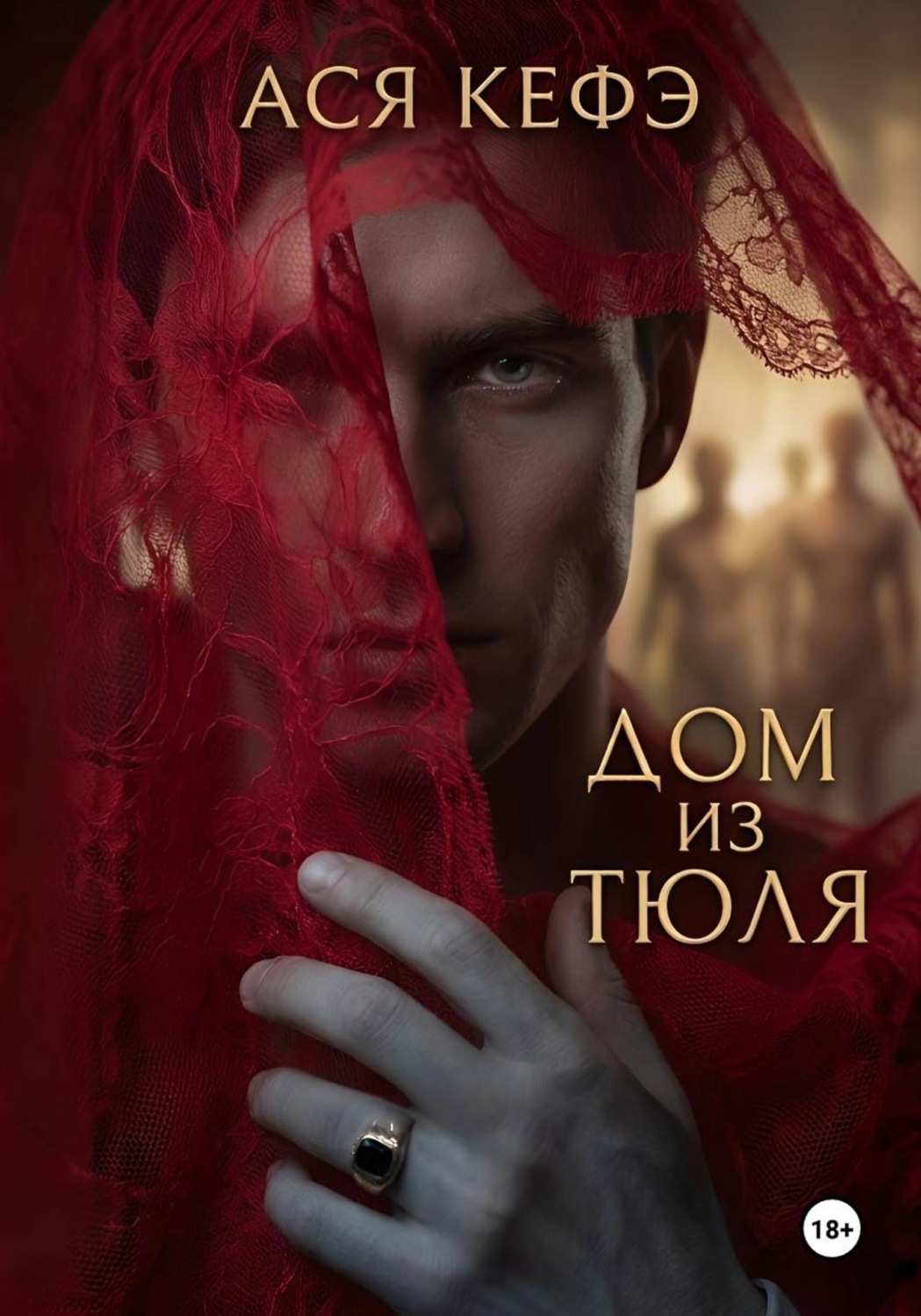 Обложка книги «Дом из тюля»