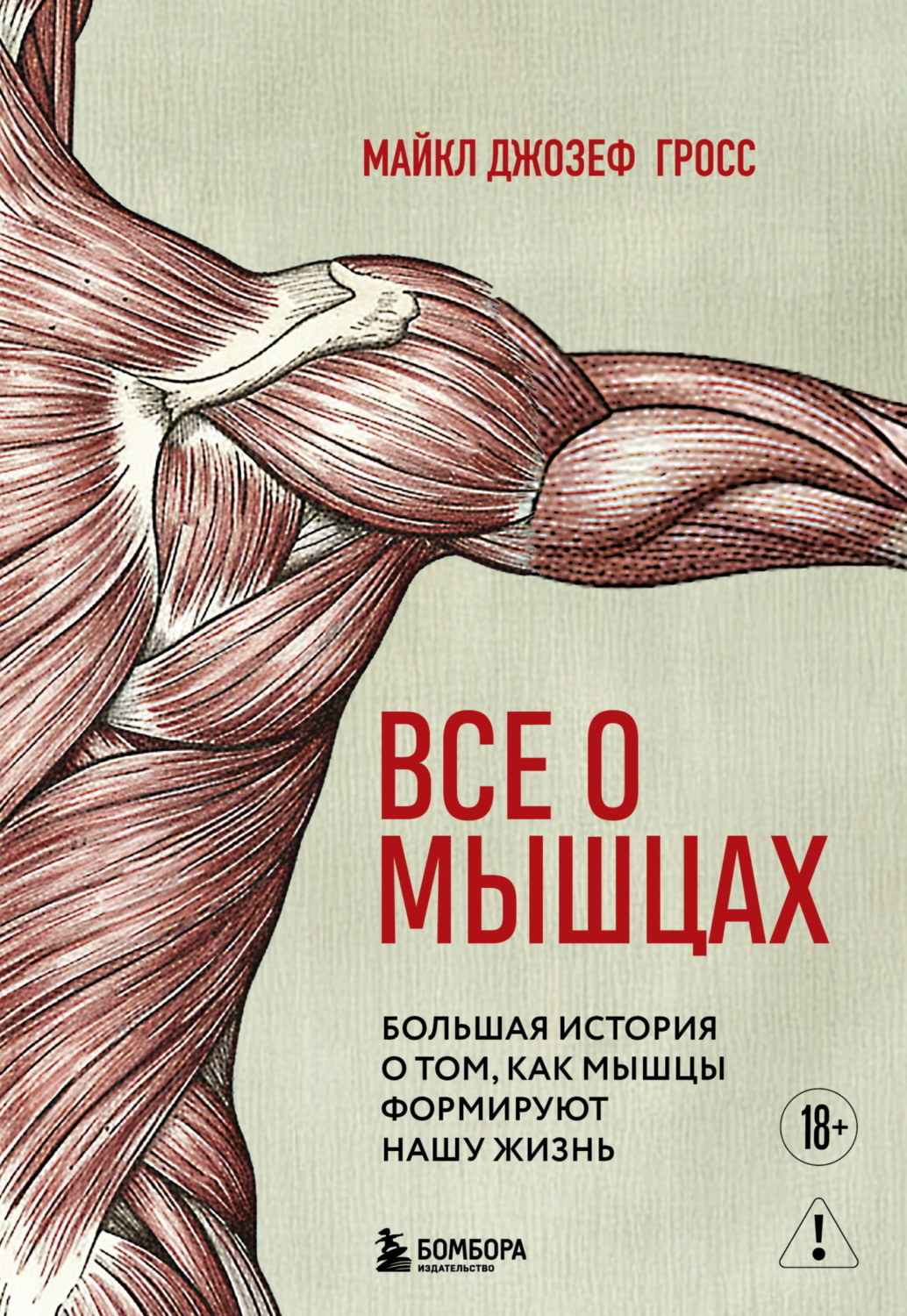 Обложка книги «Все о мышцах. Большая история о том, как мышцы формируют нашу жизнь»