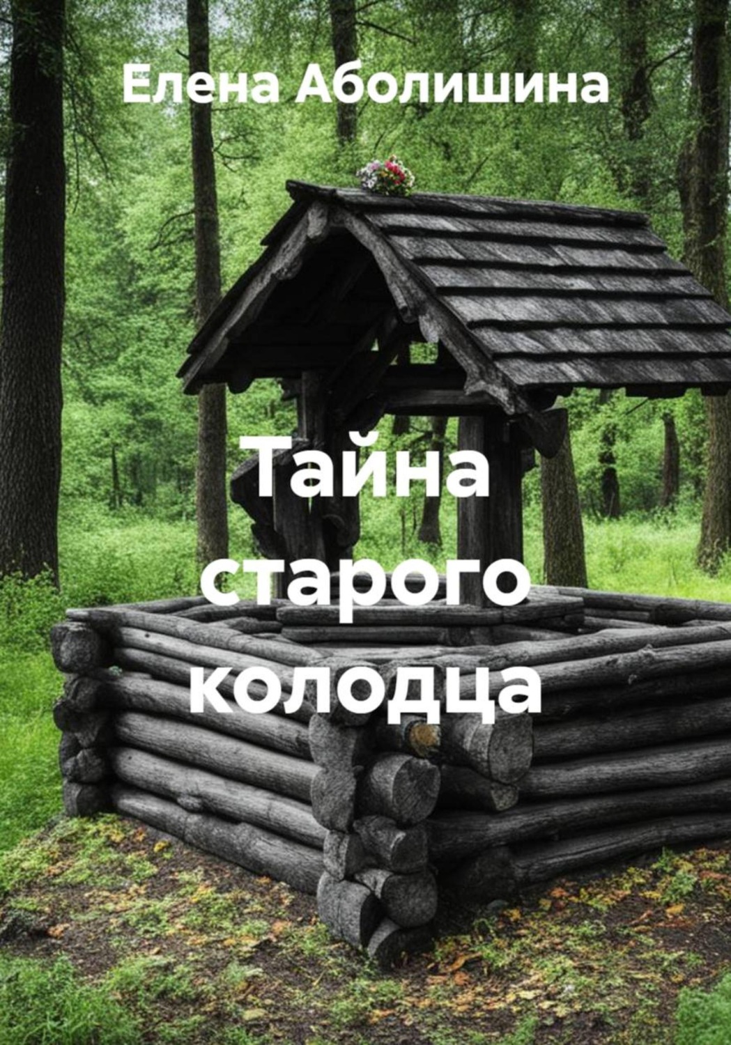 Обложка книги «Тайна старого колодца»
