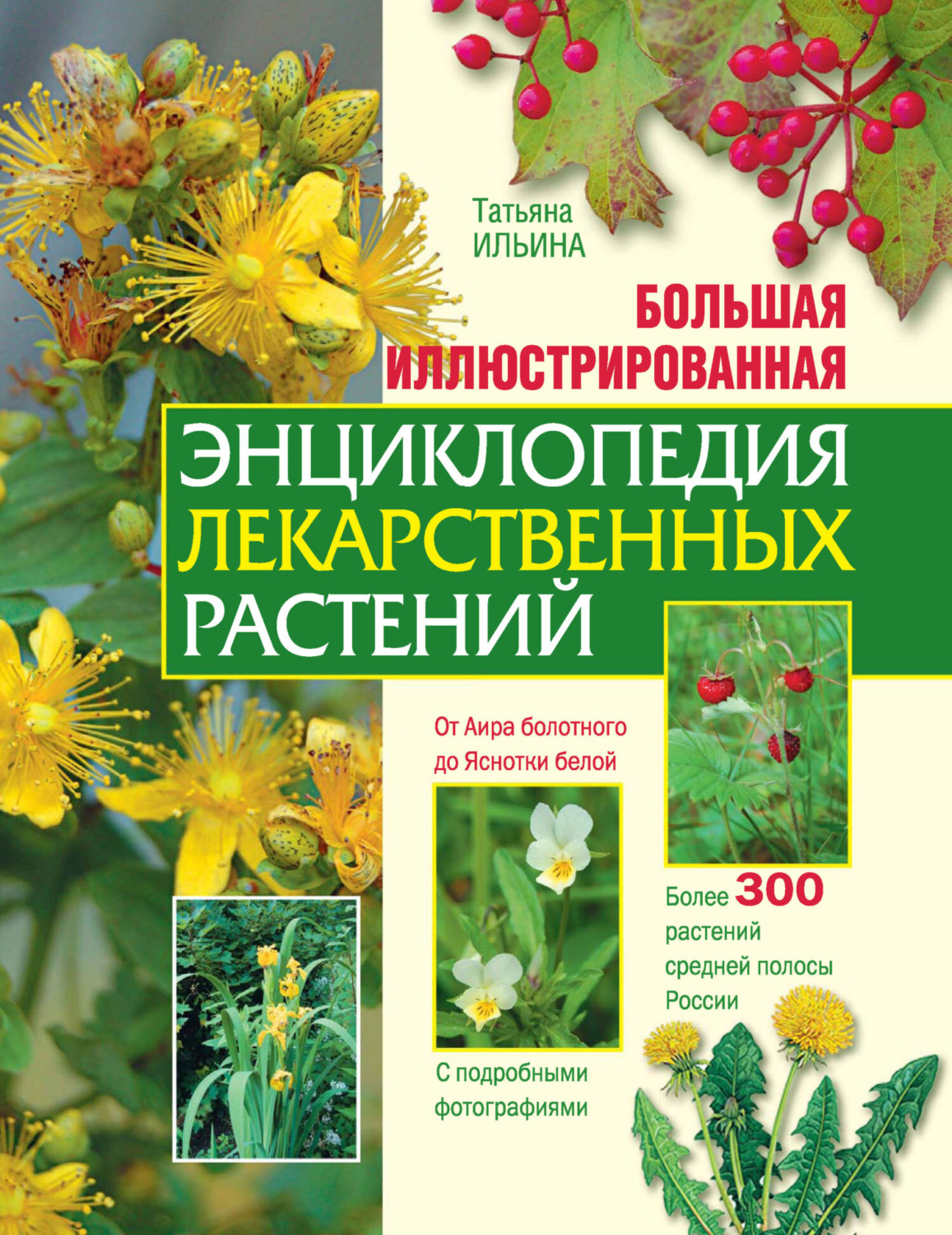 Обложка книги «Большая иллюстрированная энциклопедия лекарственных растений»