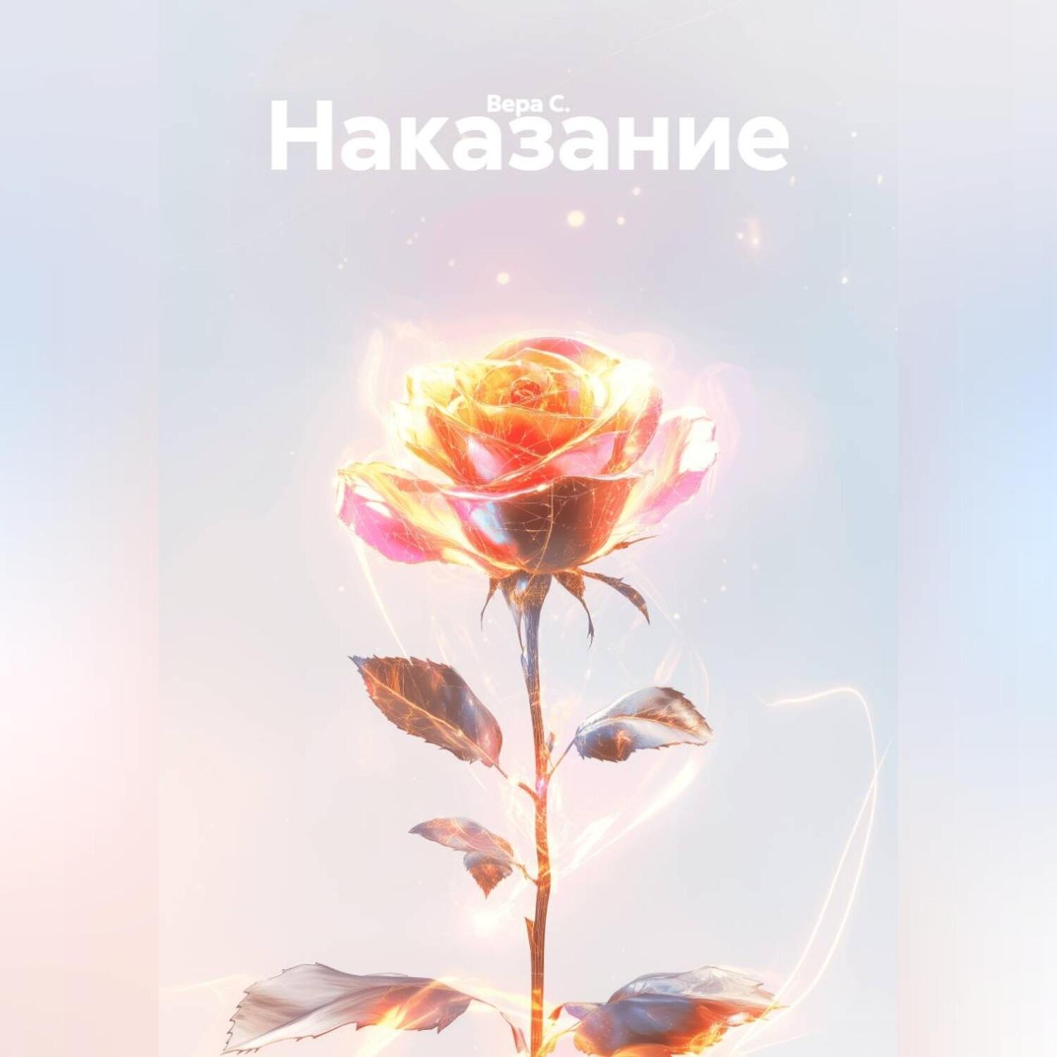 Обложка книги «Наказание»