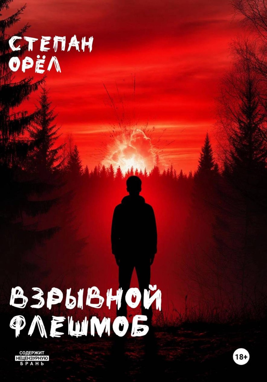 Обложка книги «Взрывной флешмоб»