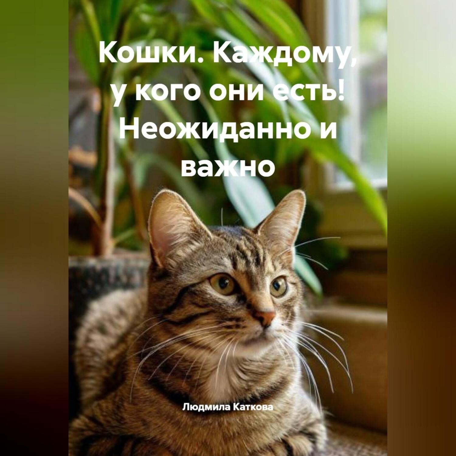 Обложка книги «Кошки. Каждому, у кого они есть! Неожиданно и важно.»