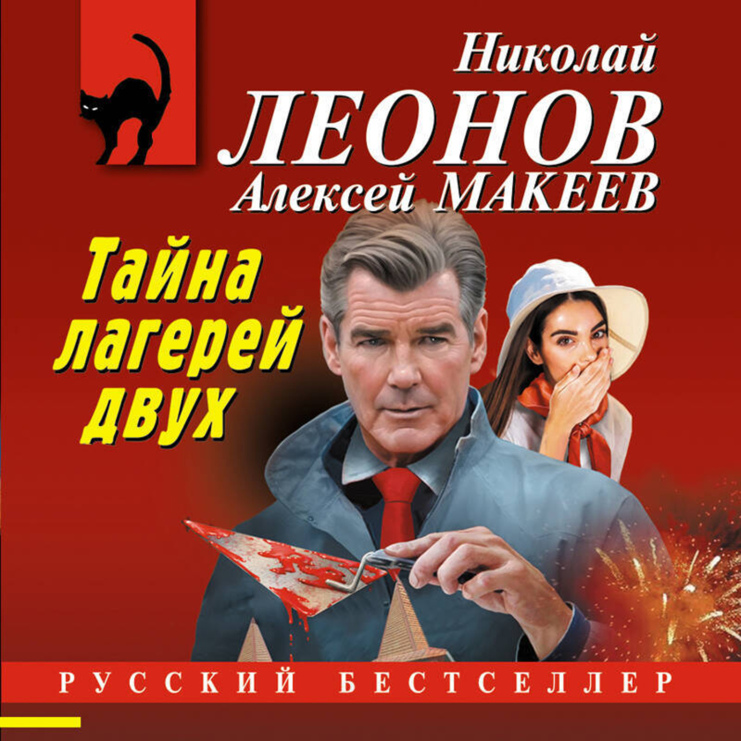 Обложка книги «Тайна двух лагерей»