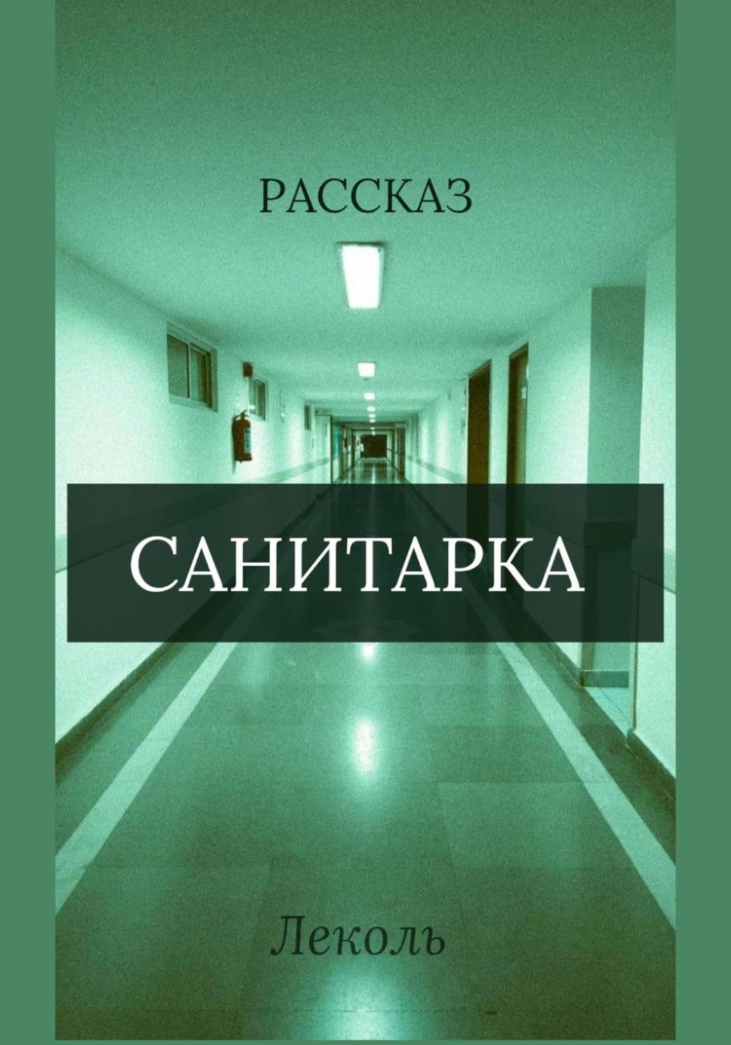 Обложка книги «Санитарка»