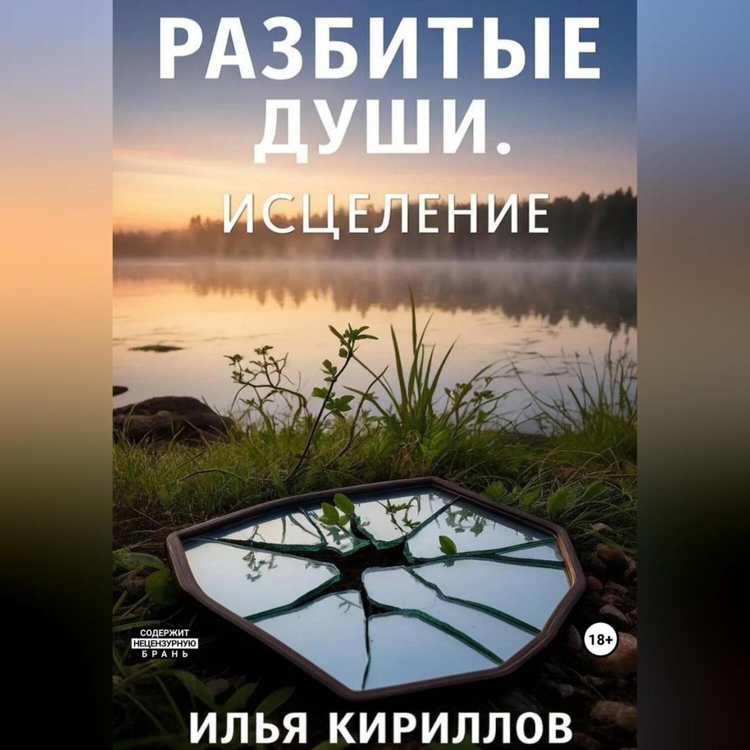 Обложка книги «Разбитые души. Исцеление»