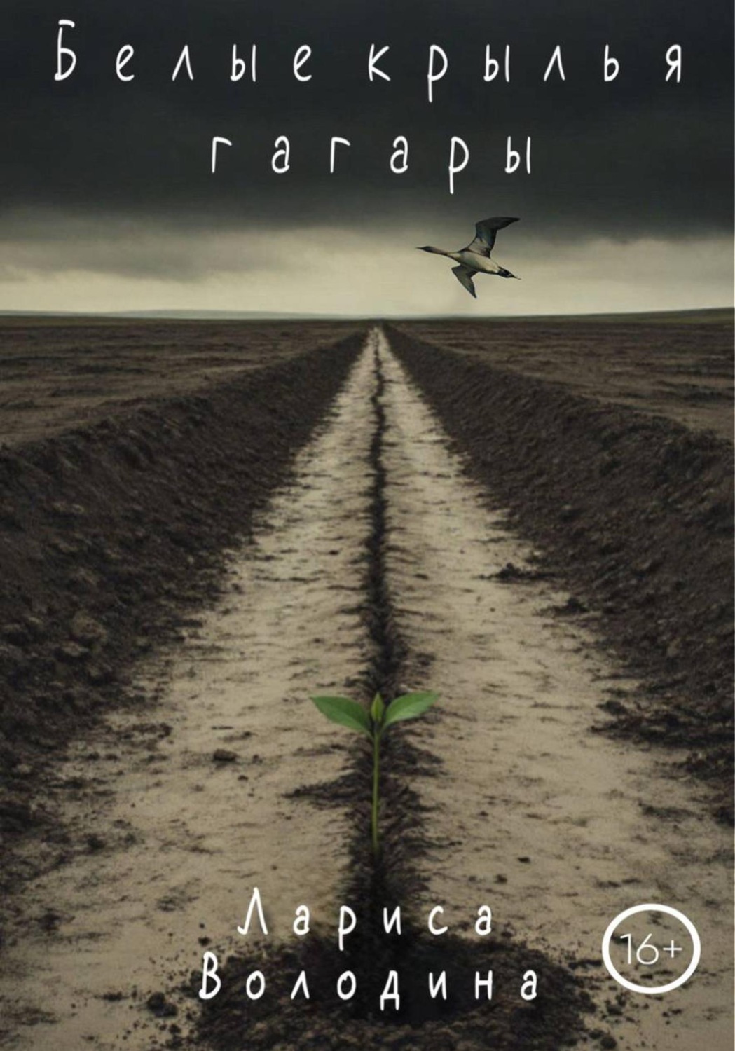 Обложка книги «Белые крылья гагары»