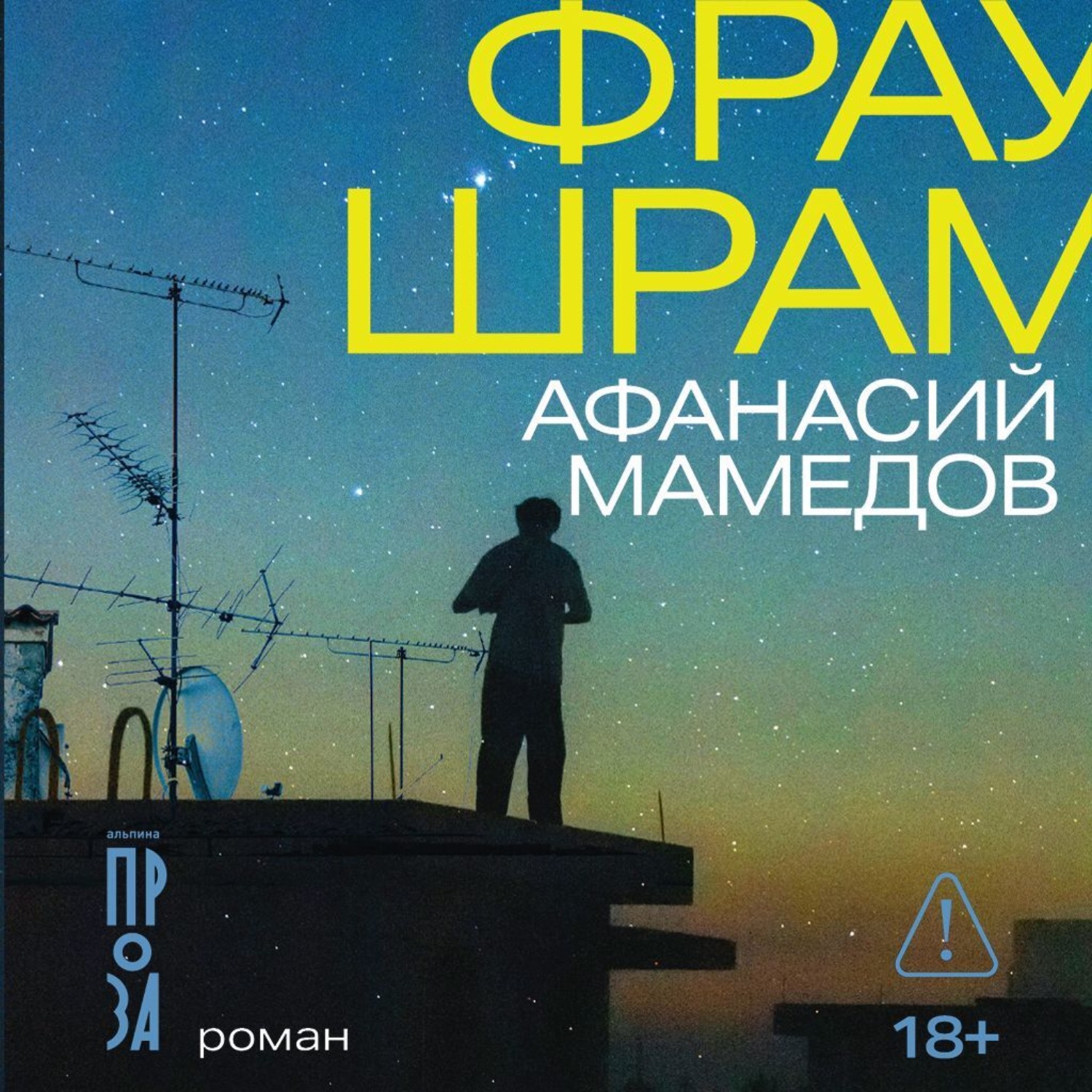 Обложка книги «Фрау Шрам»