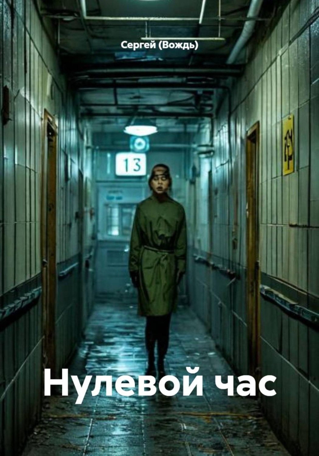 Обложка книги «Нулевой час»