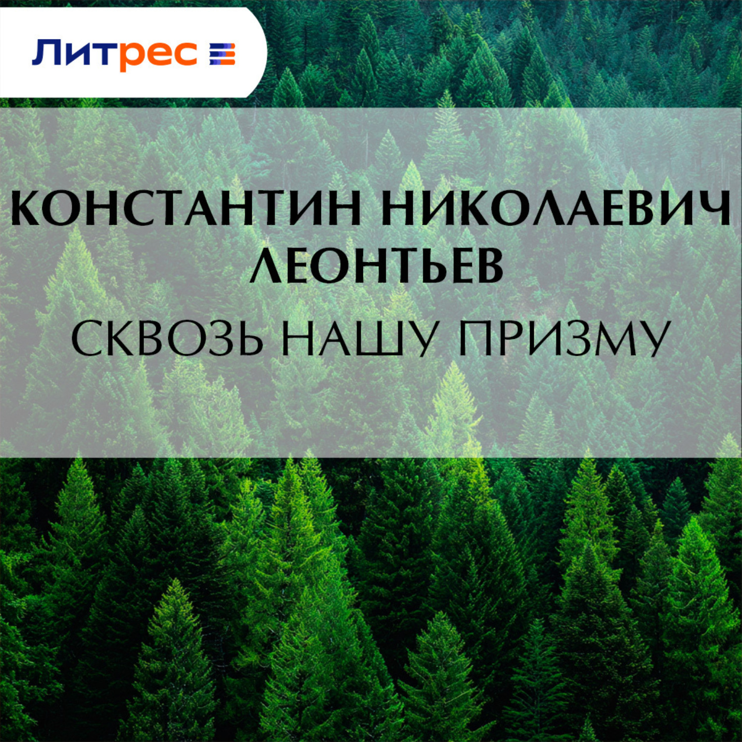 Обложка книги «Сквозь нашу призму»