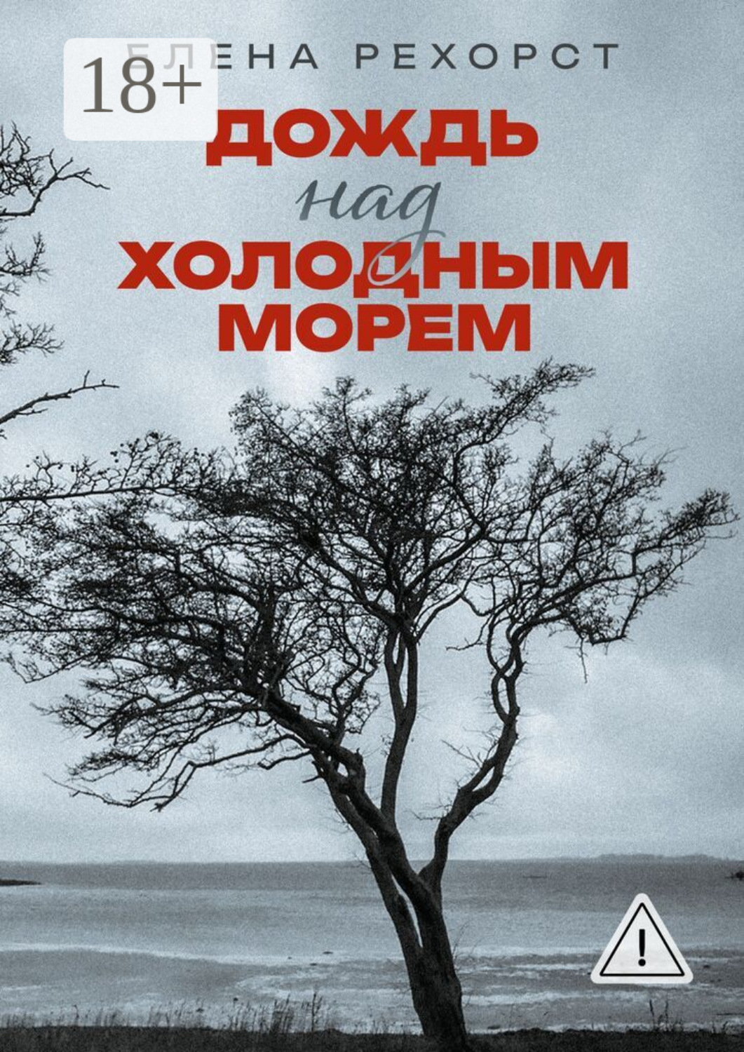 Обложка книги «Дождь над холодным морем»