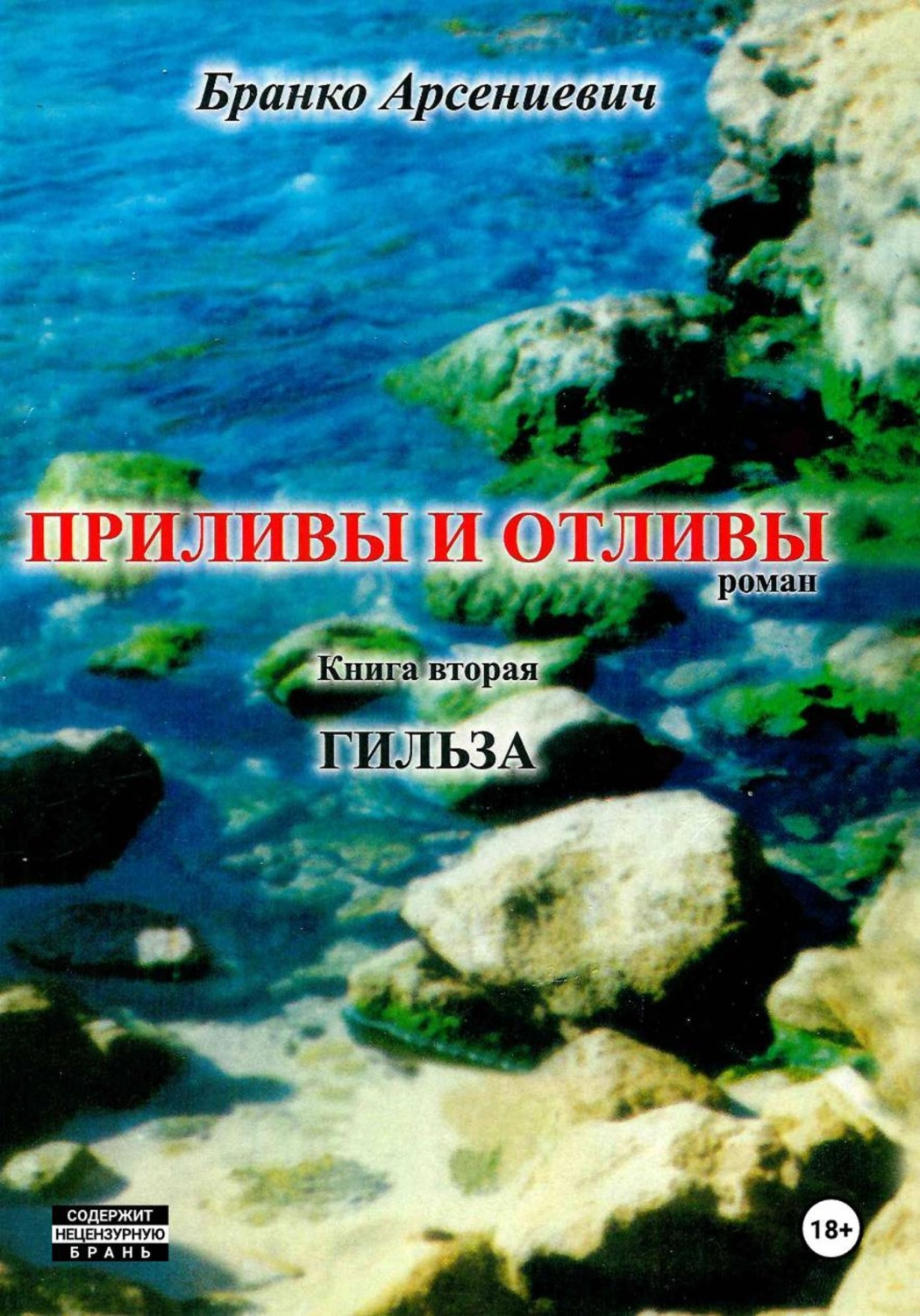 Обложка книги «Приливы и отливы. Книга вторая. Гильза»