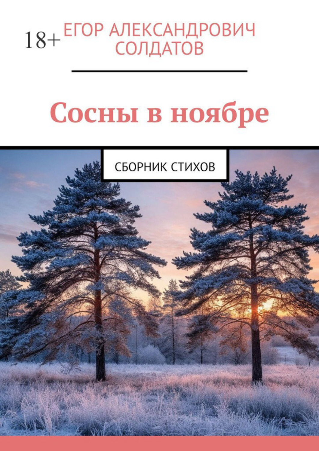 Обложка книги «Сосны в ноябре. Сборник стихов»