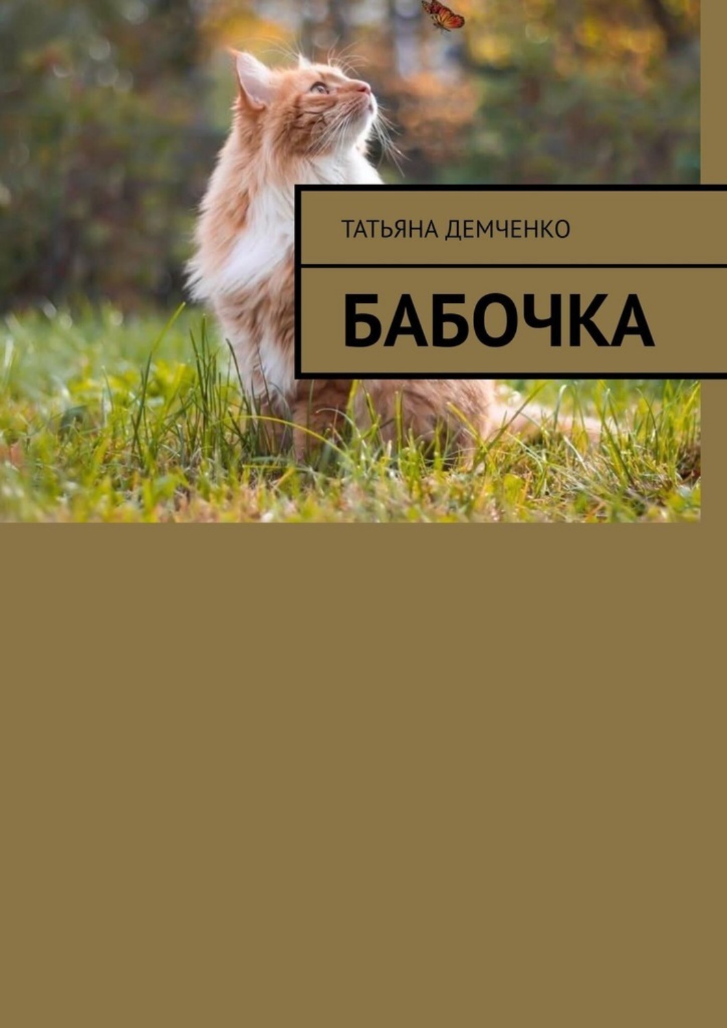 Обложка книги «Бабочка»