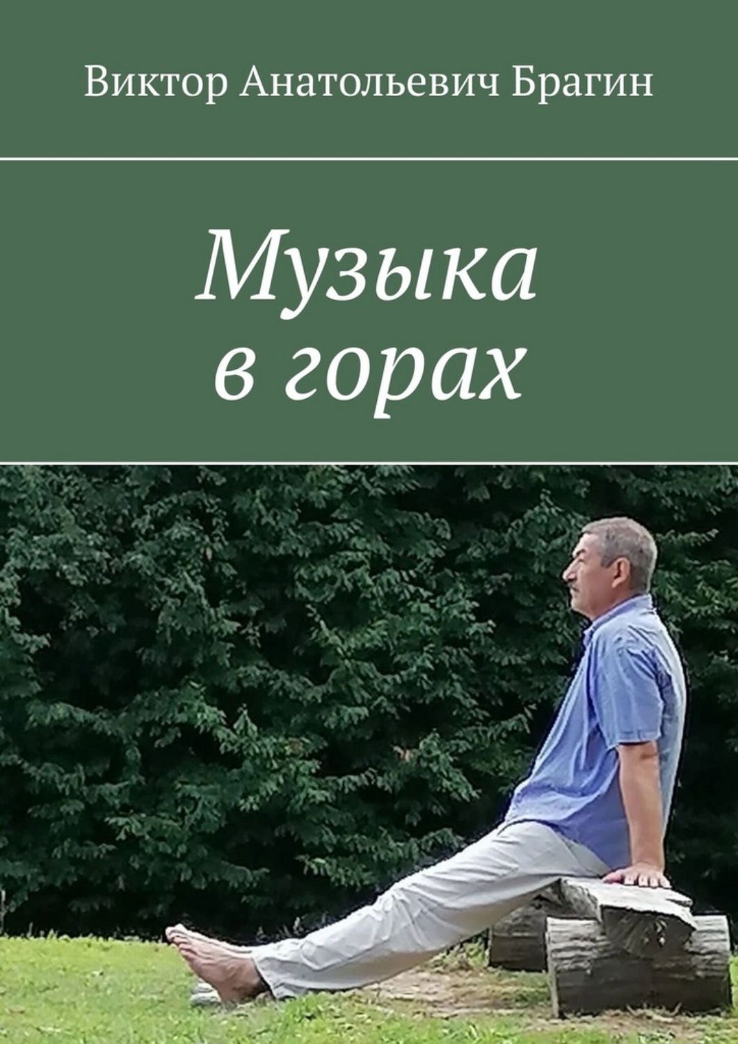 Обложка книги «Музыка в горах»
