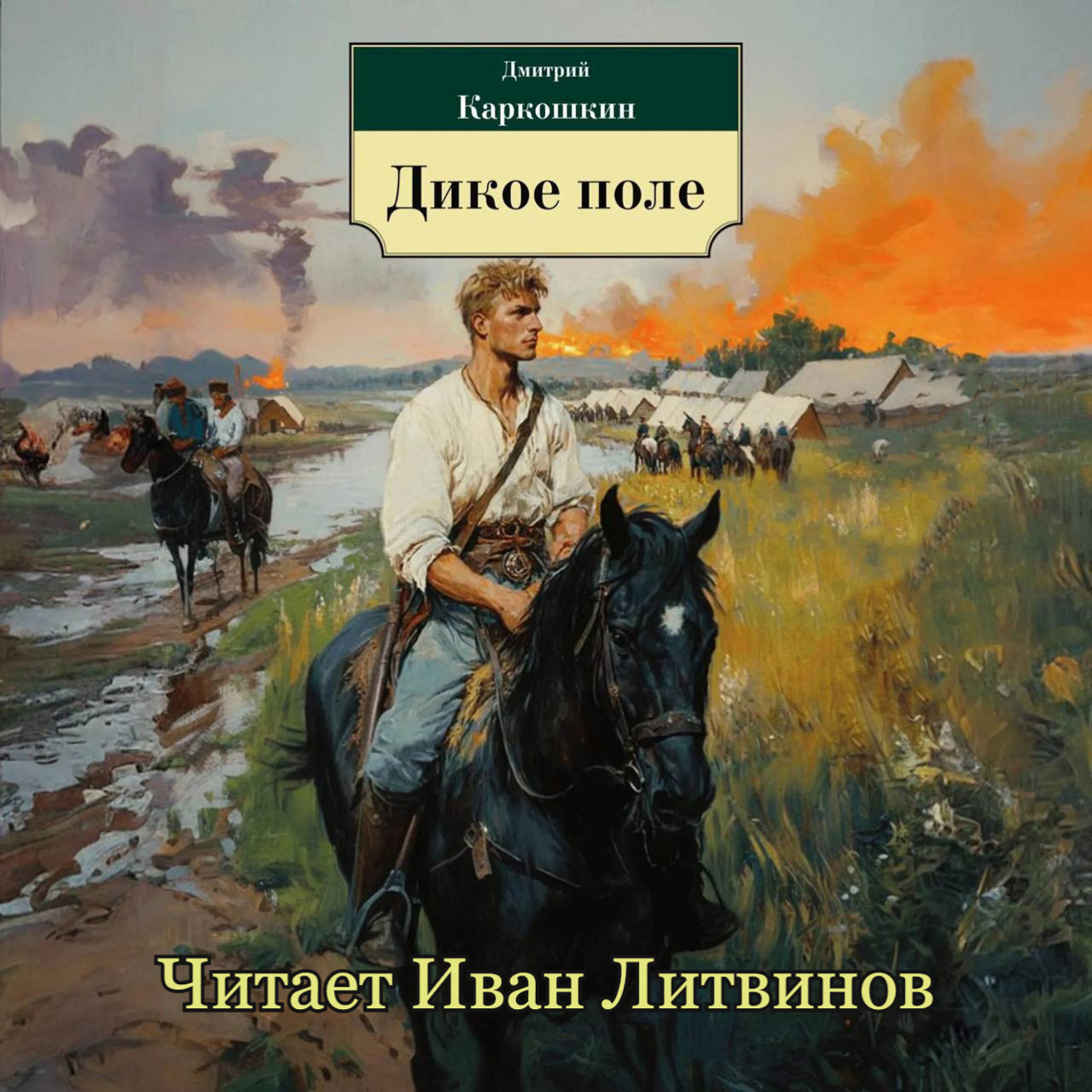Обложка книги «Дикое поле»