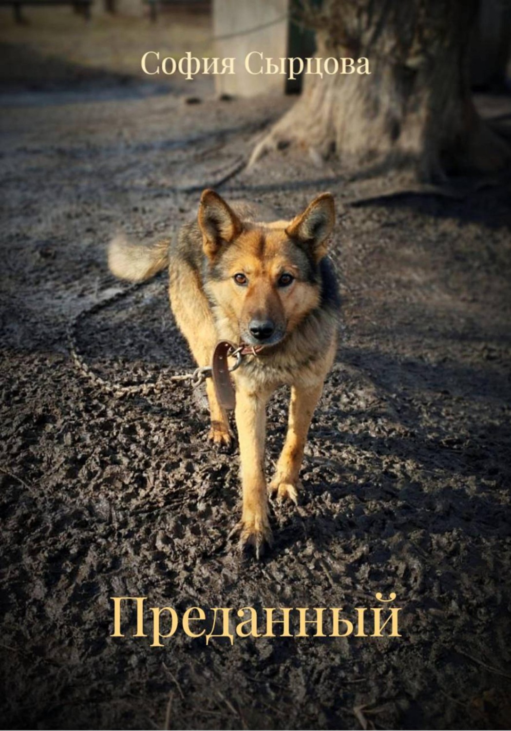 Обложка книги «Преданный»