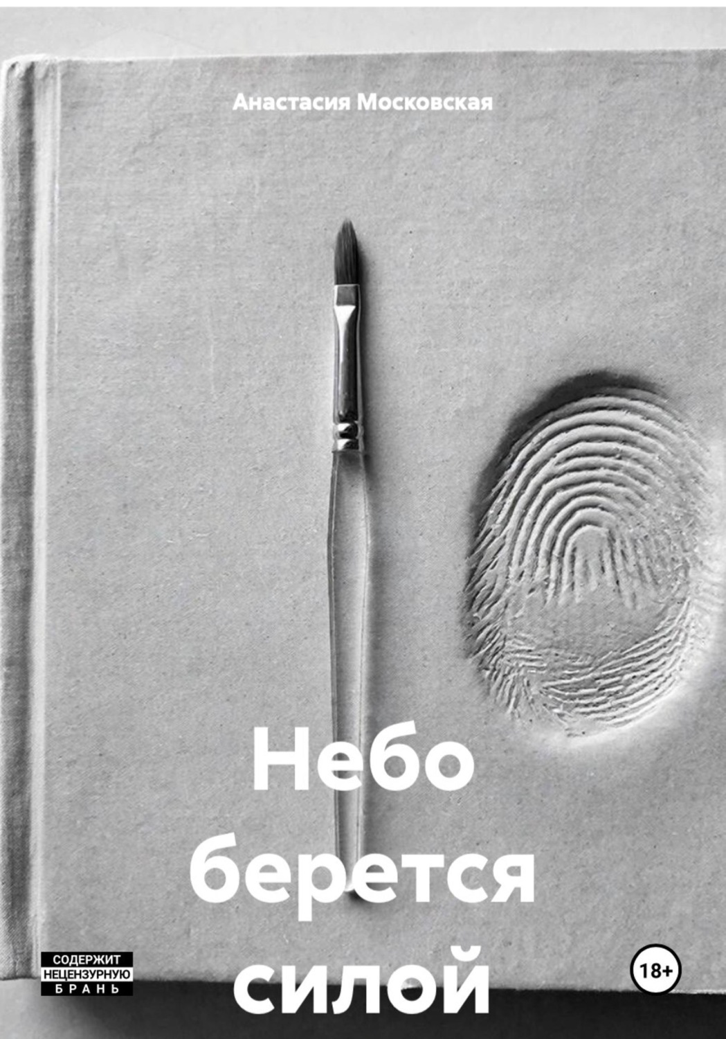Обложка книги «Небо берется силой»