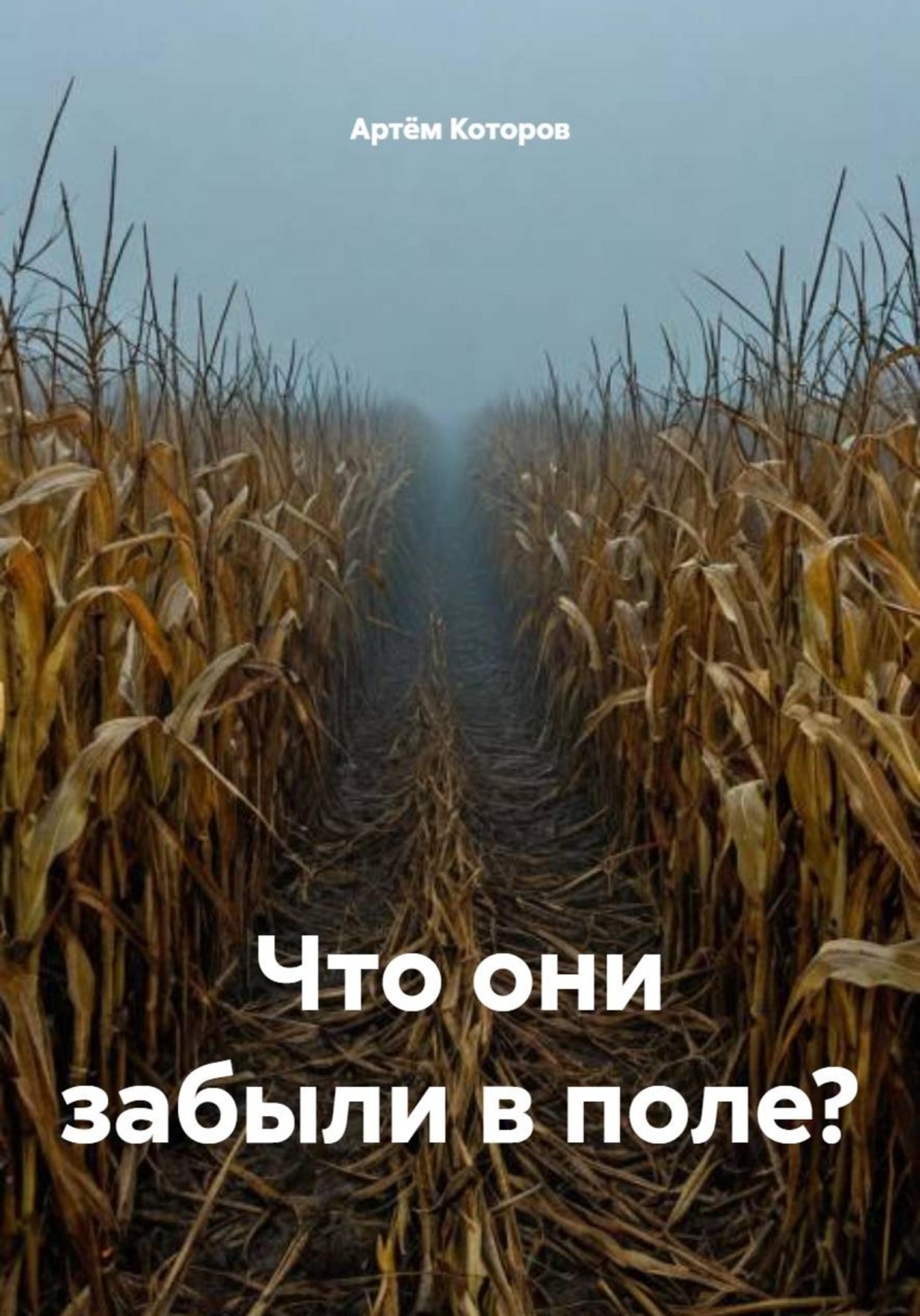 Обложка книги «Что они забыли в поле?»