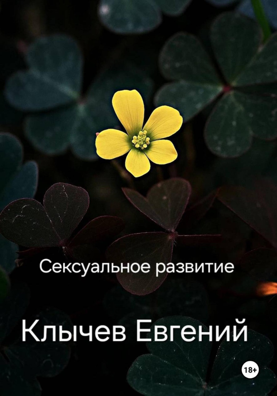 Обложка книги «Сексуальное развитие»