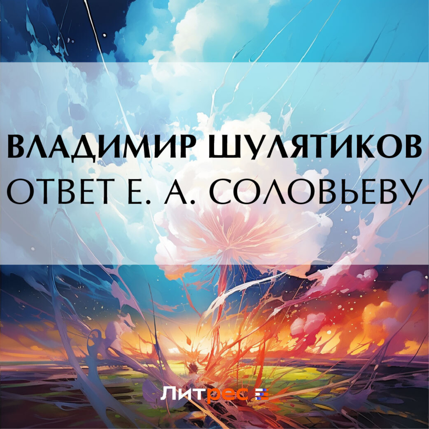 Обложка книги «Ответ Е. А. Соловьеву»