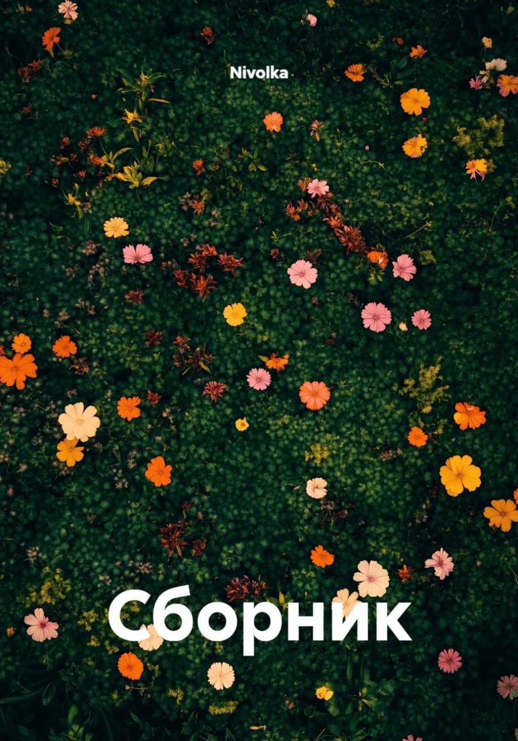 Обложка книги «Сборник»