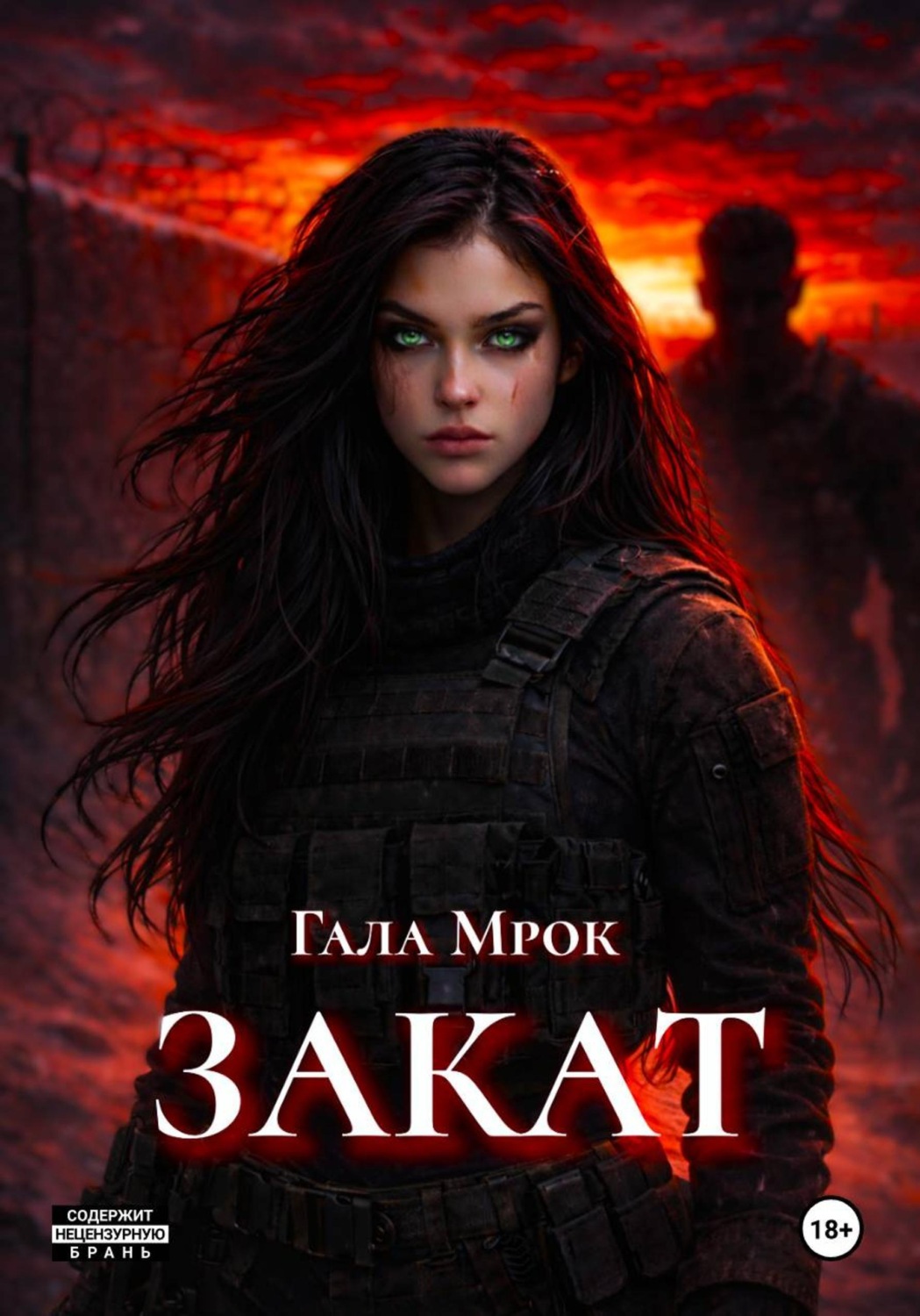 Обложка книги «Закат»