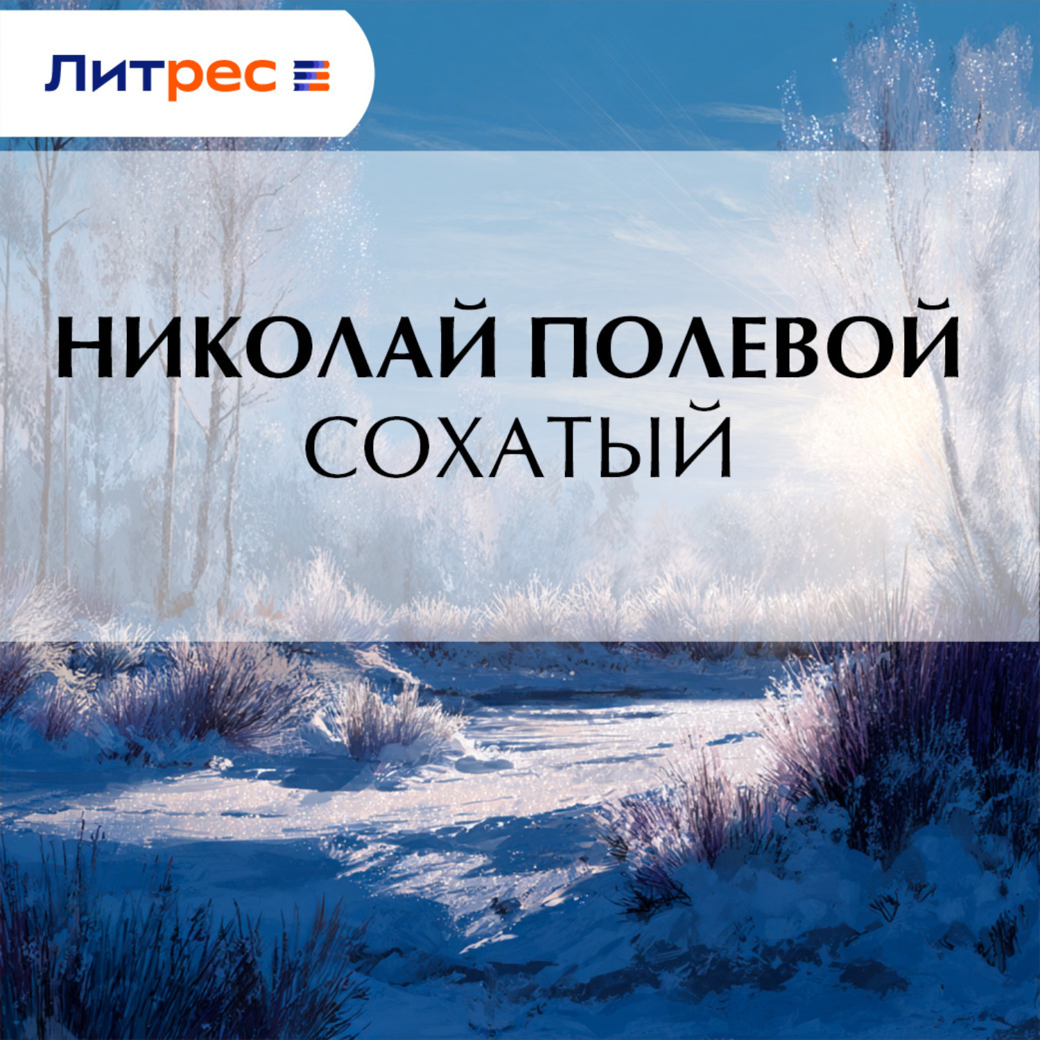 Обложка книги «Сохатый»