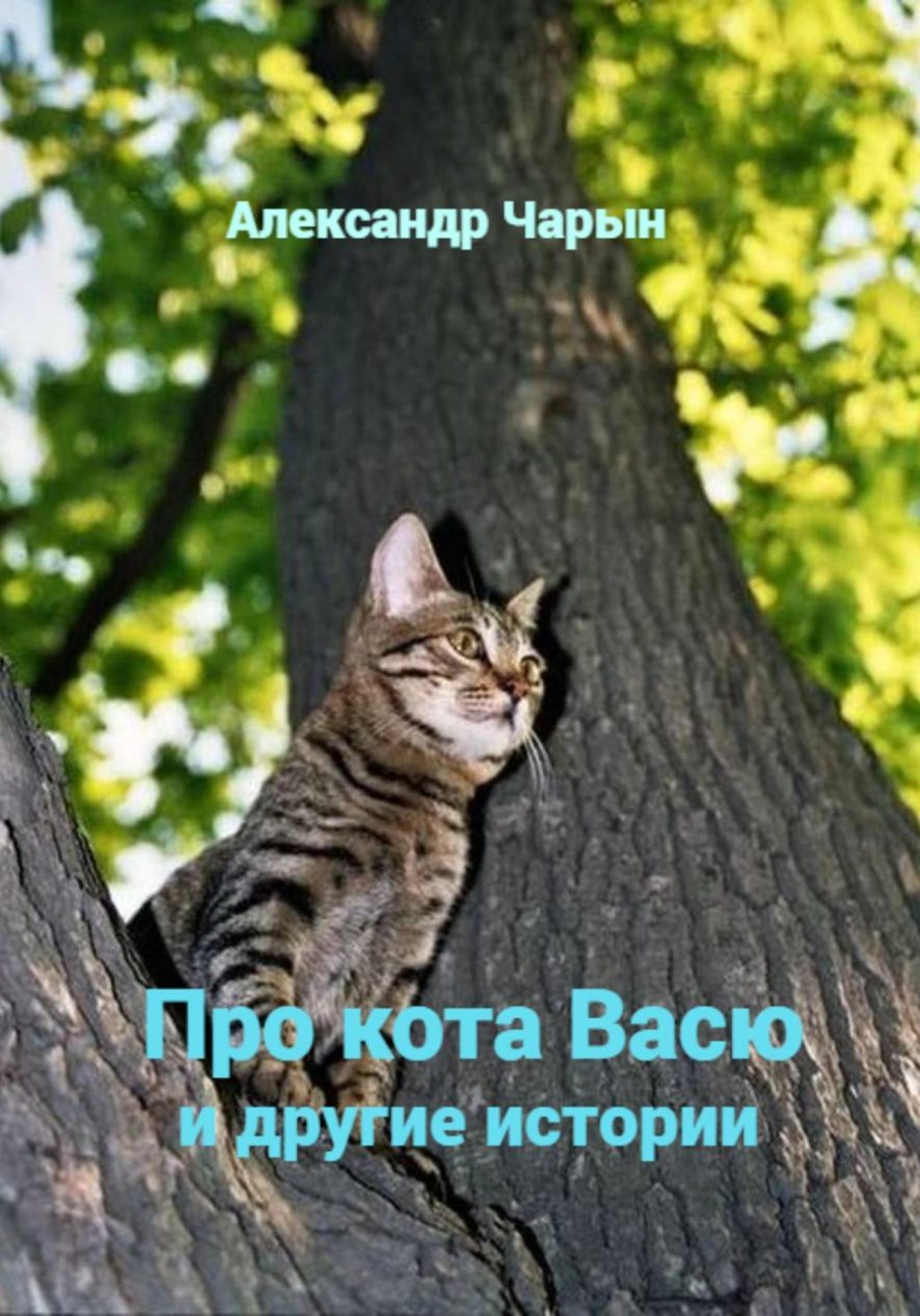 Обложка книги «Про кота Васю и другие истории»