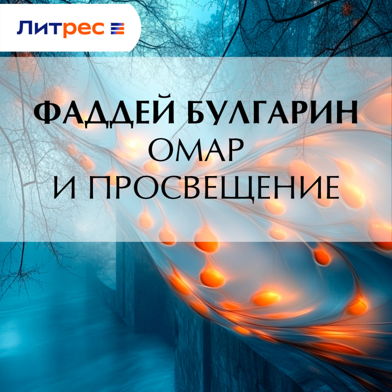 Обложка книги «Омар и просвещение»