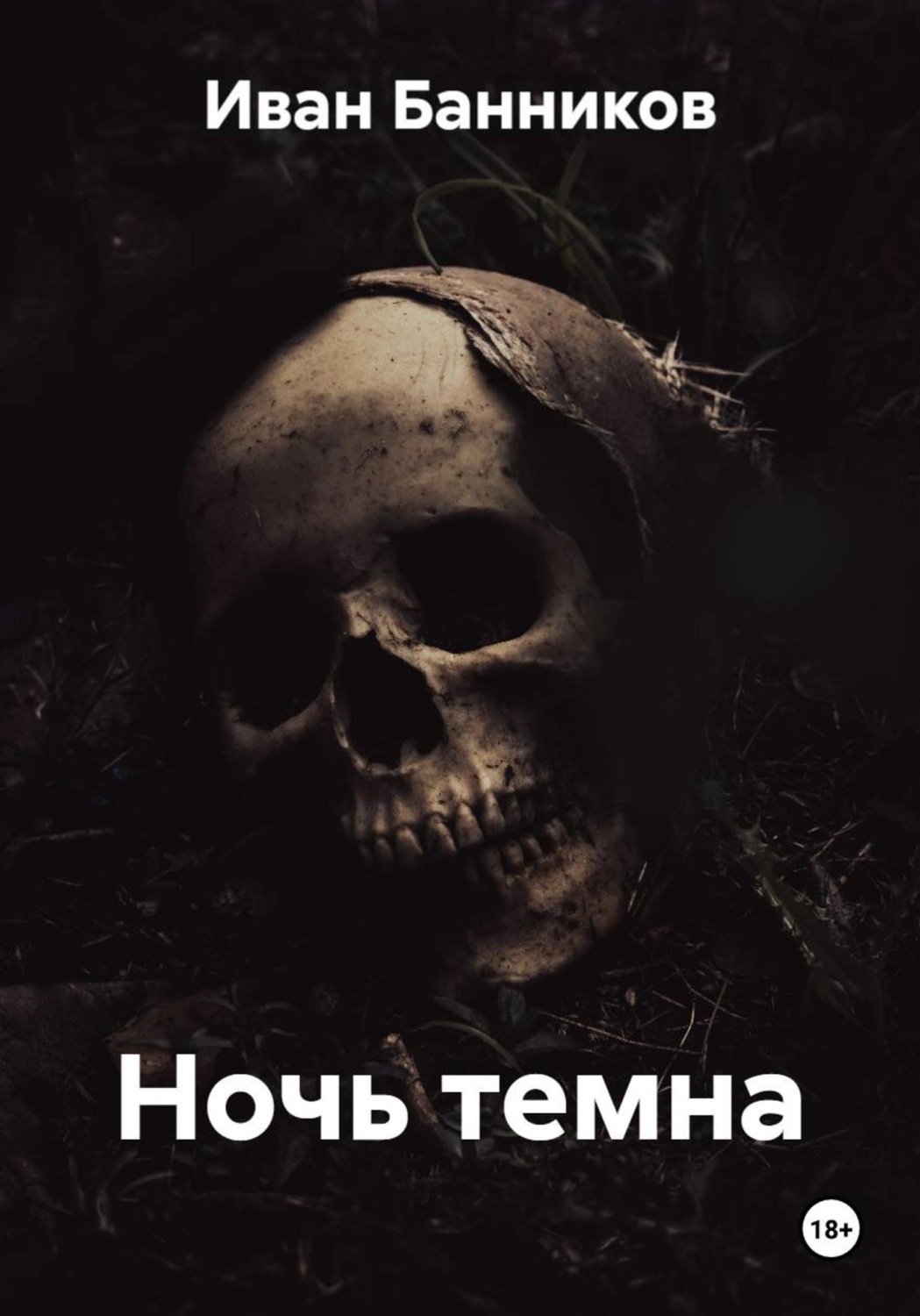 Обложка книги «Ночь темна»