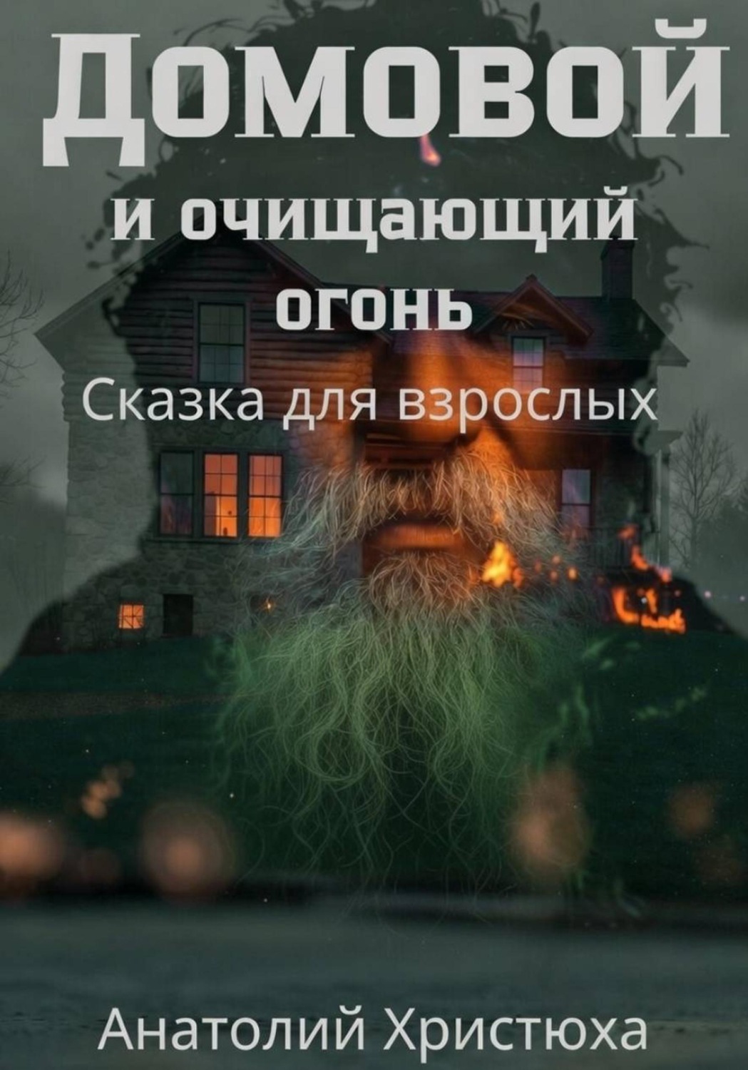 Обложка книги «Домовой и очищающий огонь. Сказка для взрослых»