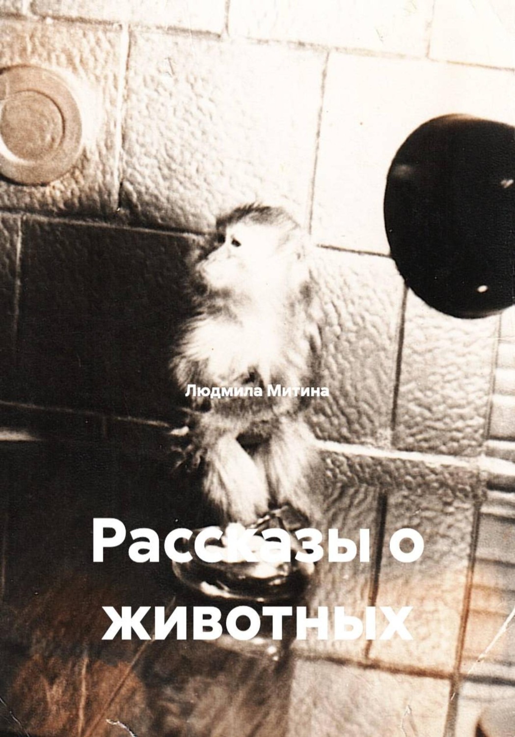 Обложка книги «Рассказы о животных»