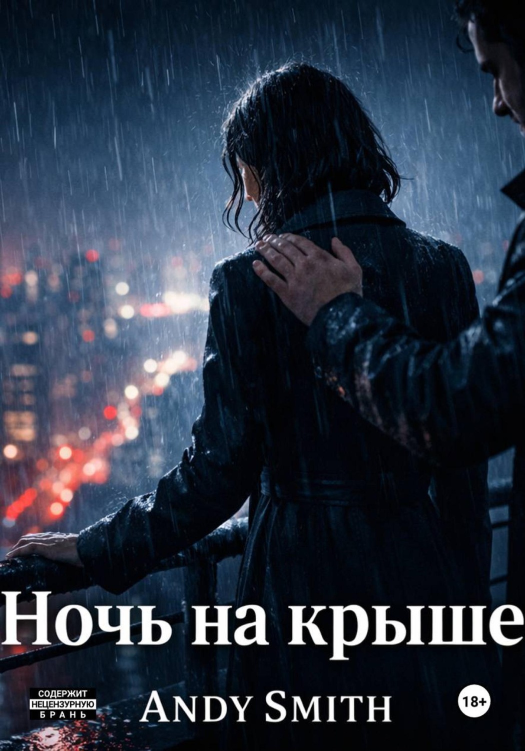 Обложка книги «Ночь на крыше»