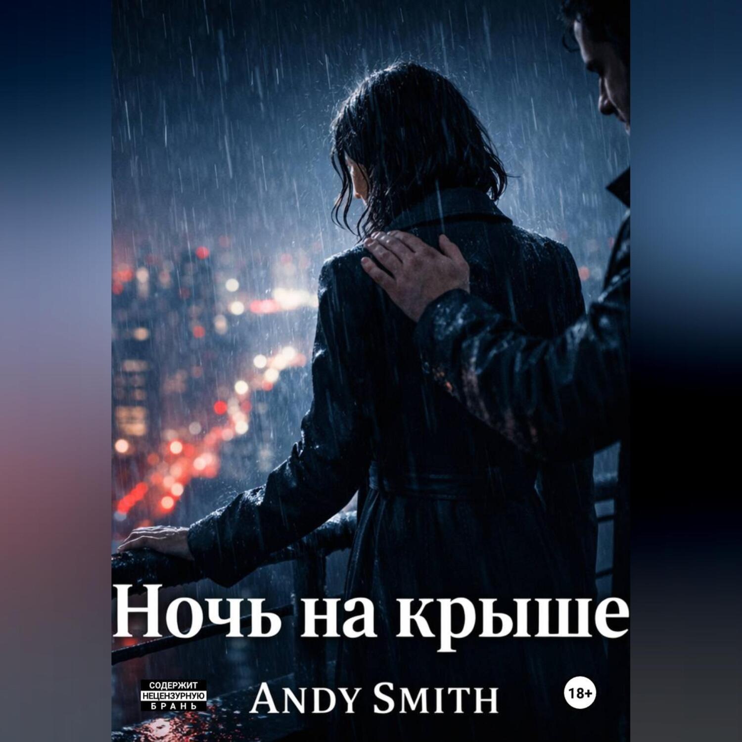 Обложка книги «Ночь на крыше»