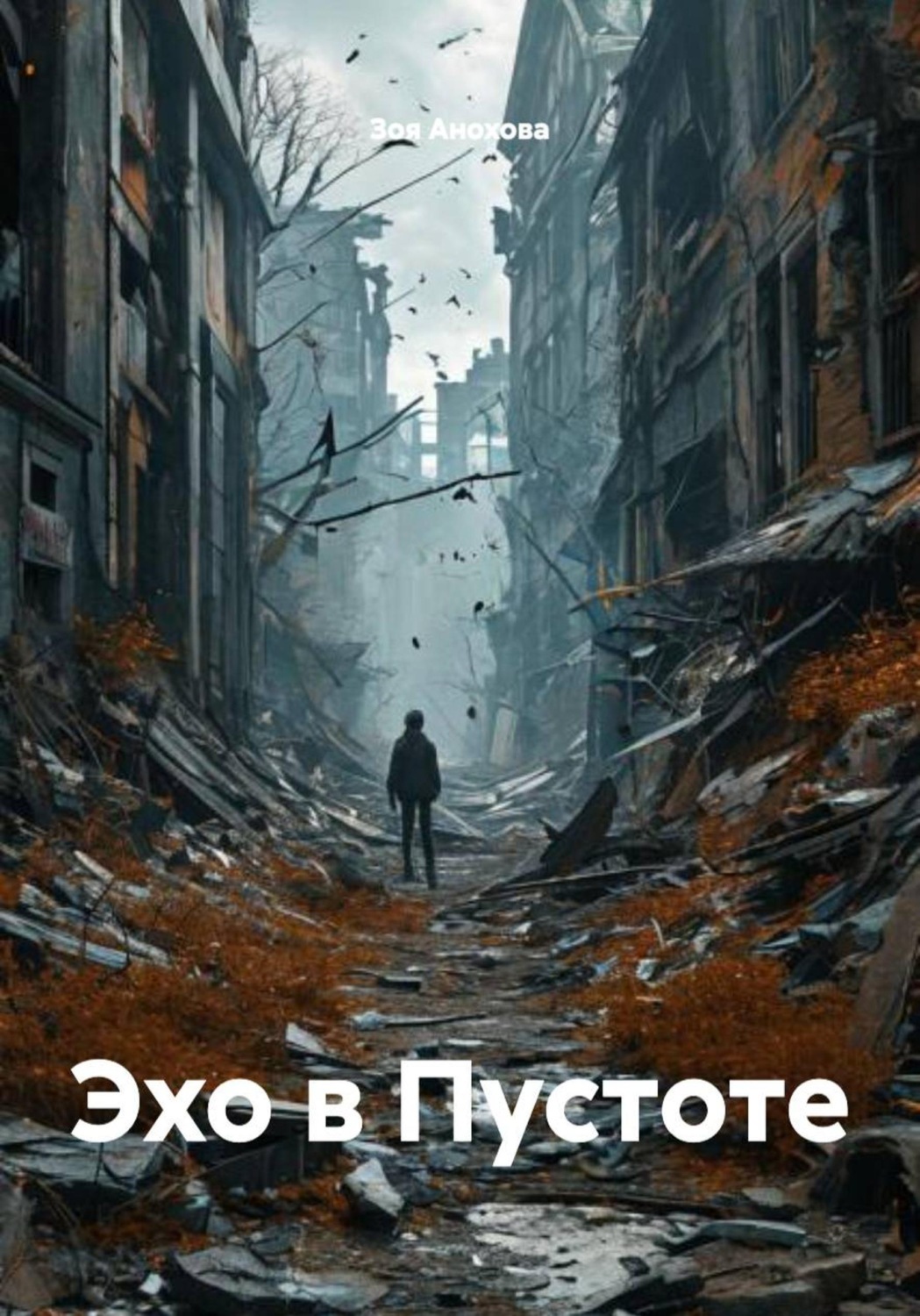 Обложка книги «Эхо в Пустоте»