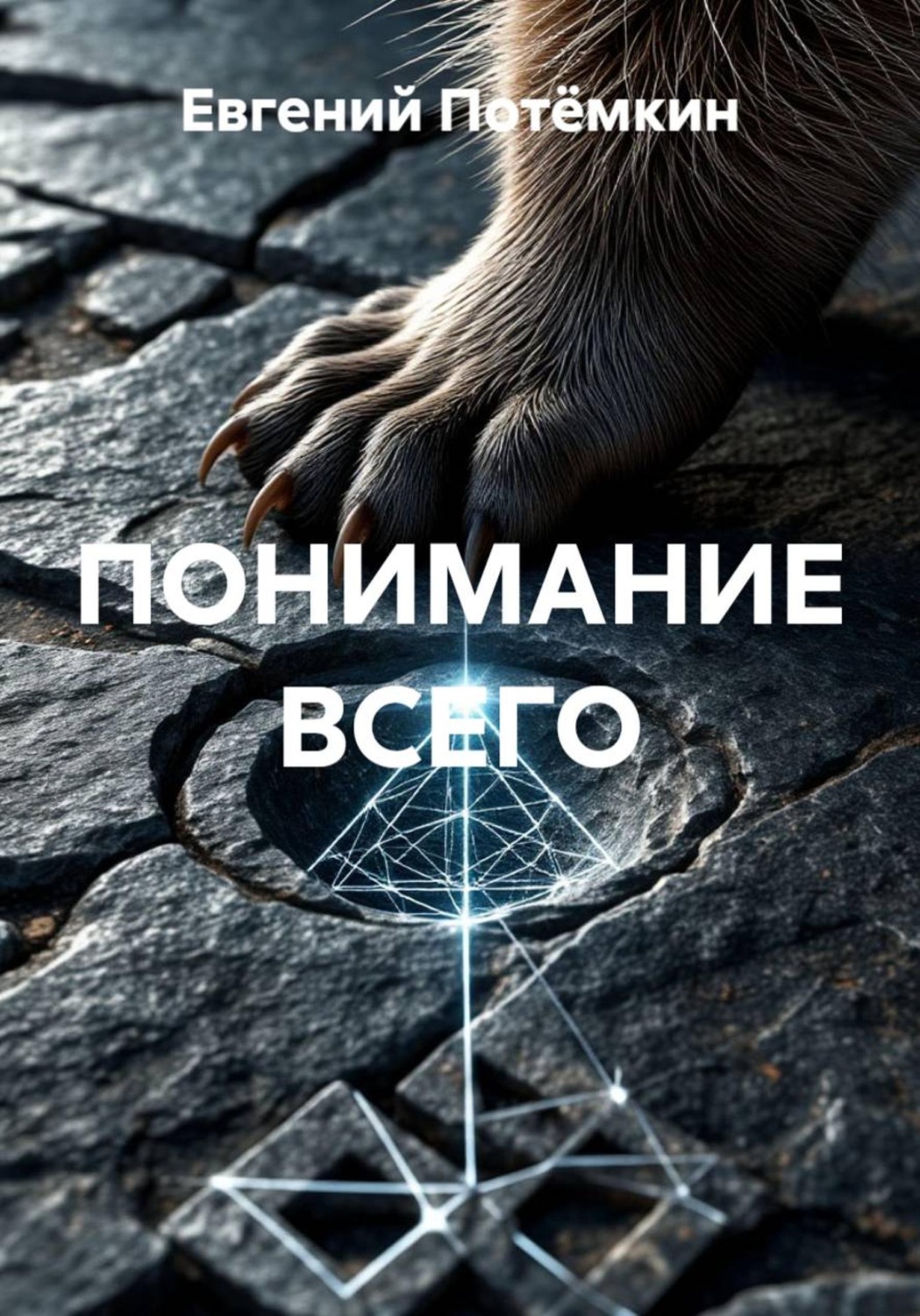 Обложка книги «ПОНИМАНИЕ ВСЕГО»