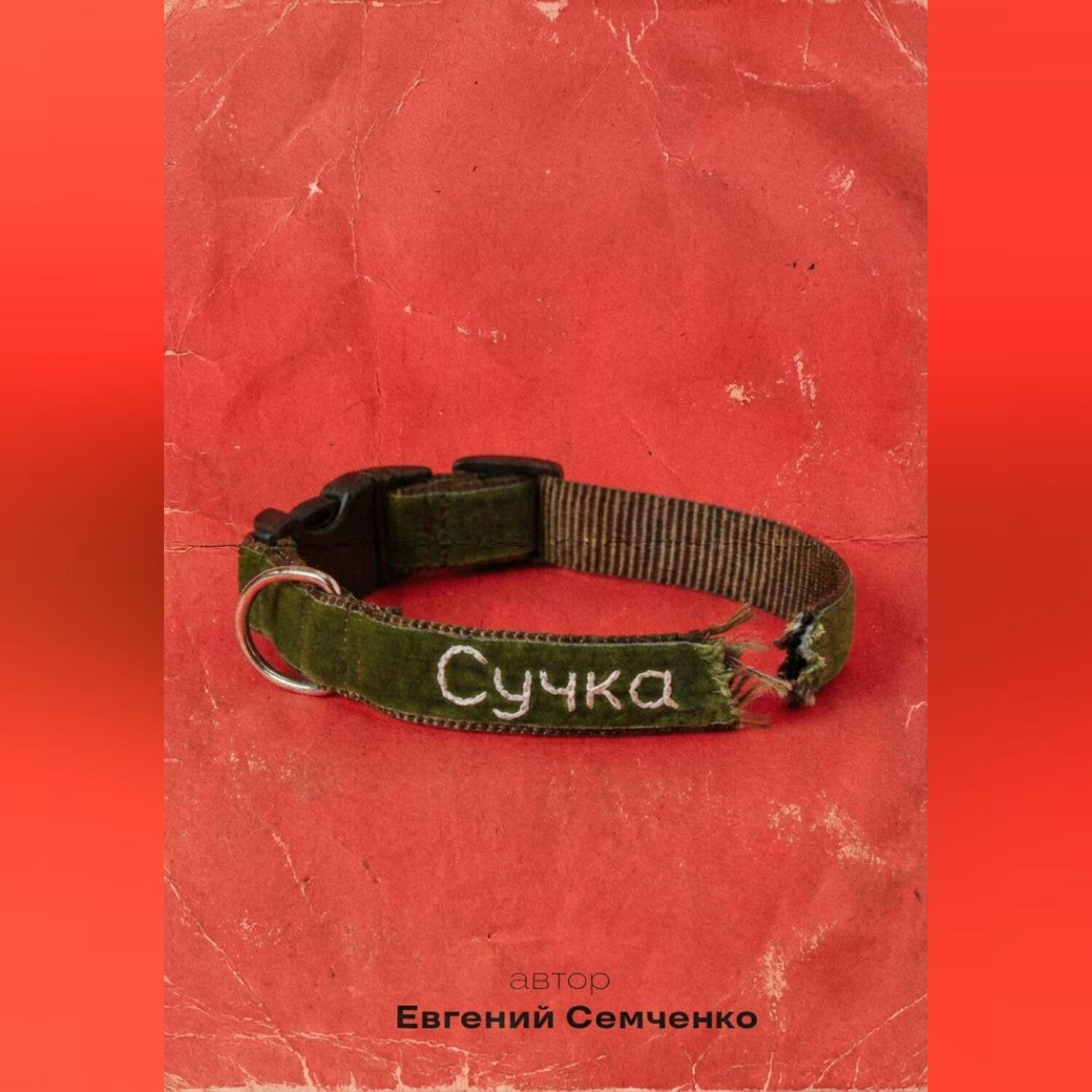 Обложка книги «Сучка»
