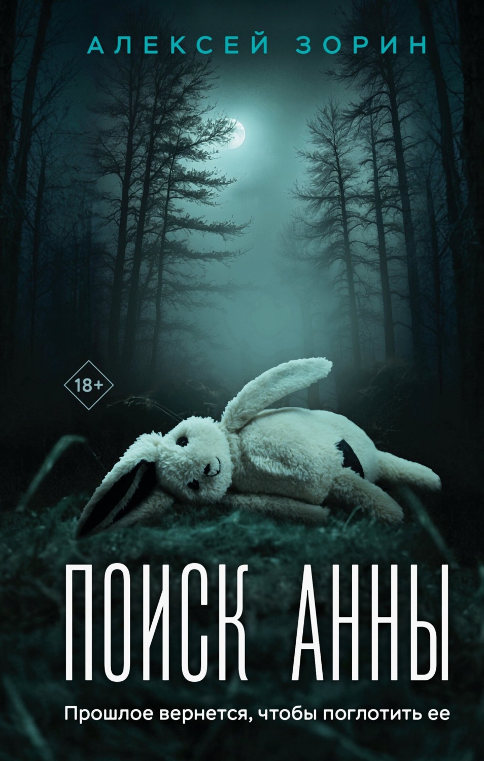Обложка книги «Поиск Анны»