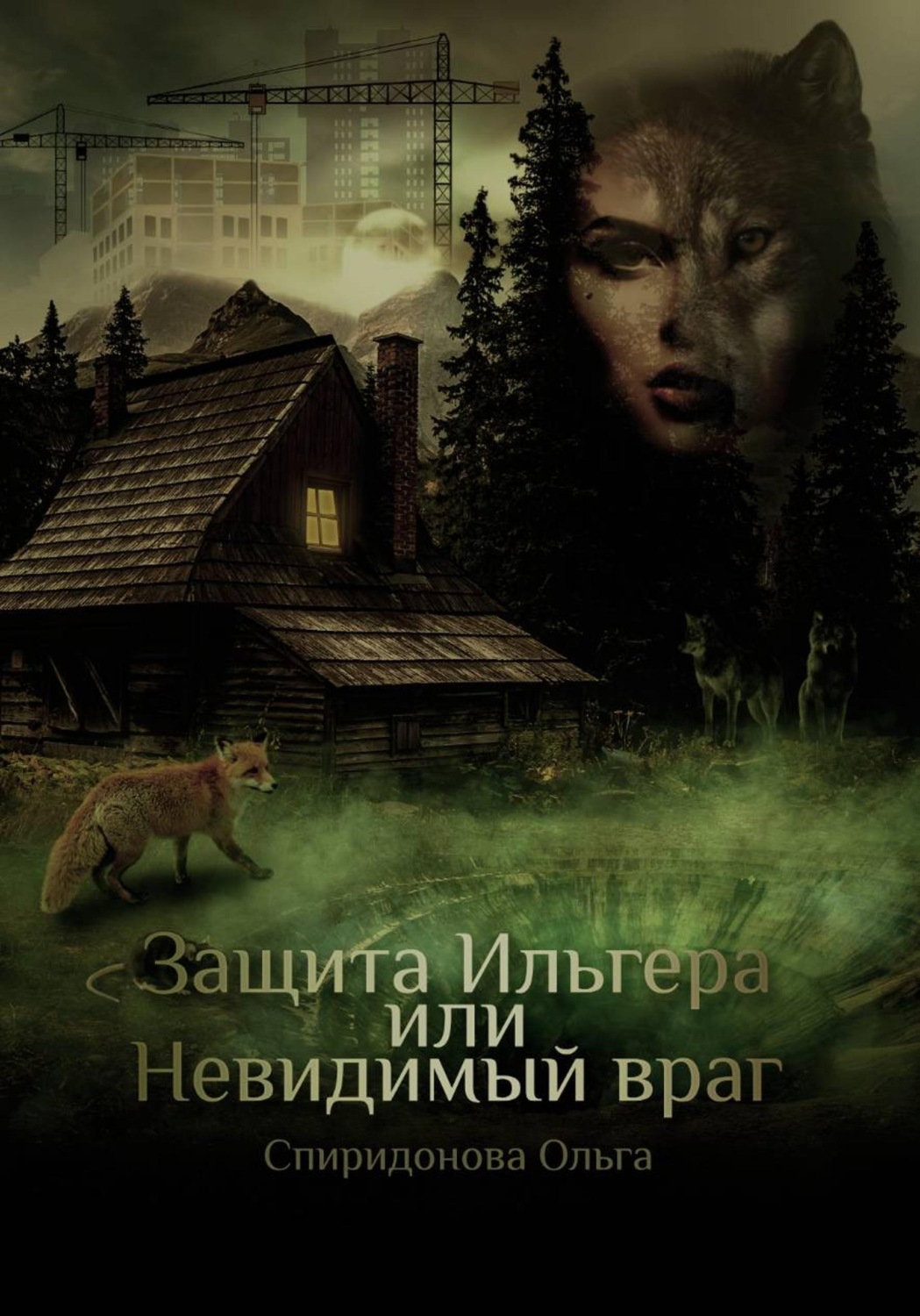 Обложка книги «Защита Ильгера, или Невидимый враг»