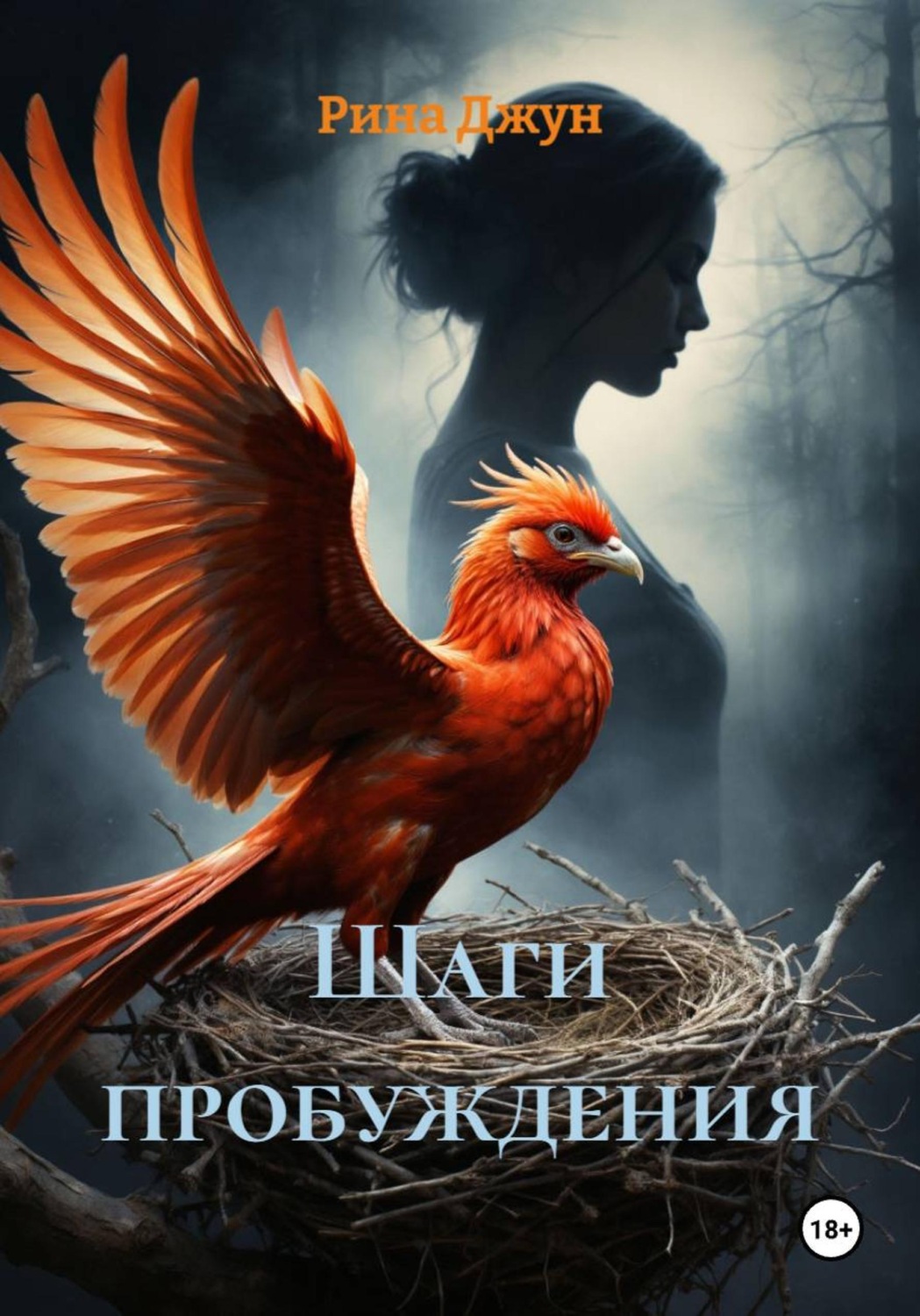 Обложка книги «Шаги пробуждения»