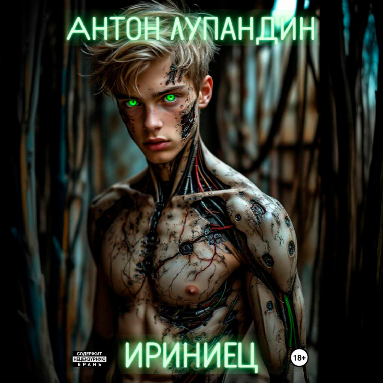 Обложка книги «Ириниец»